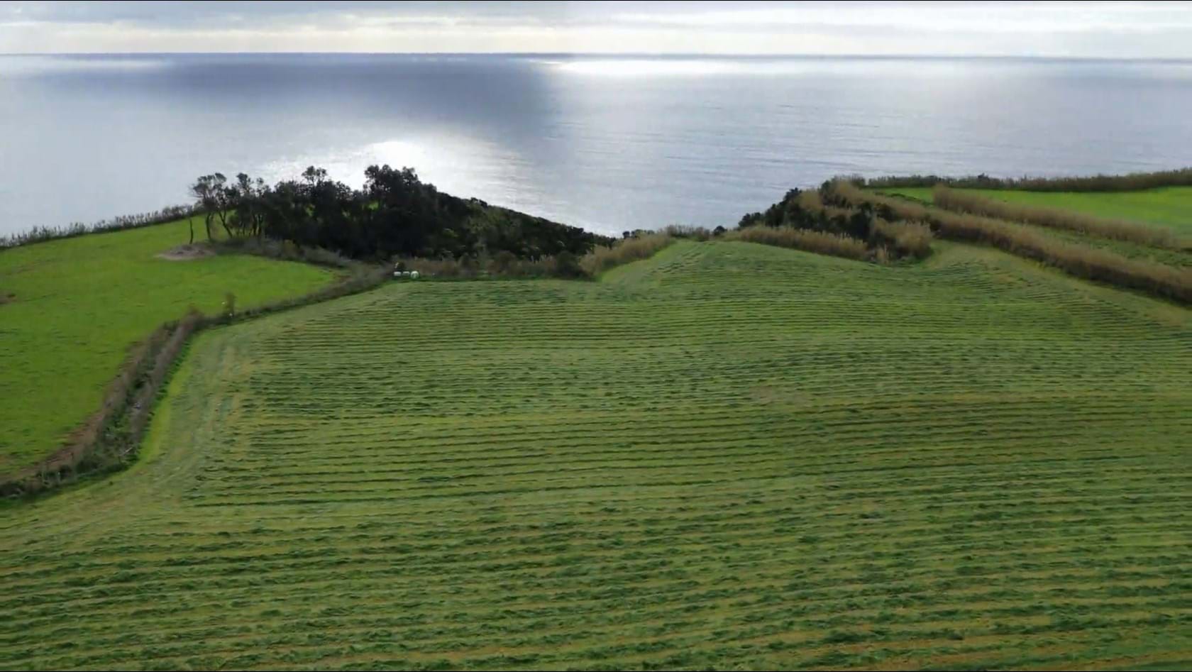 Lagoa (Açores), Ilha de São Miguel, 9560, PT, ,Residential,For Sale,1700162