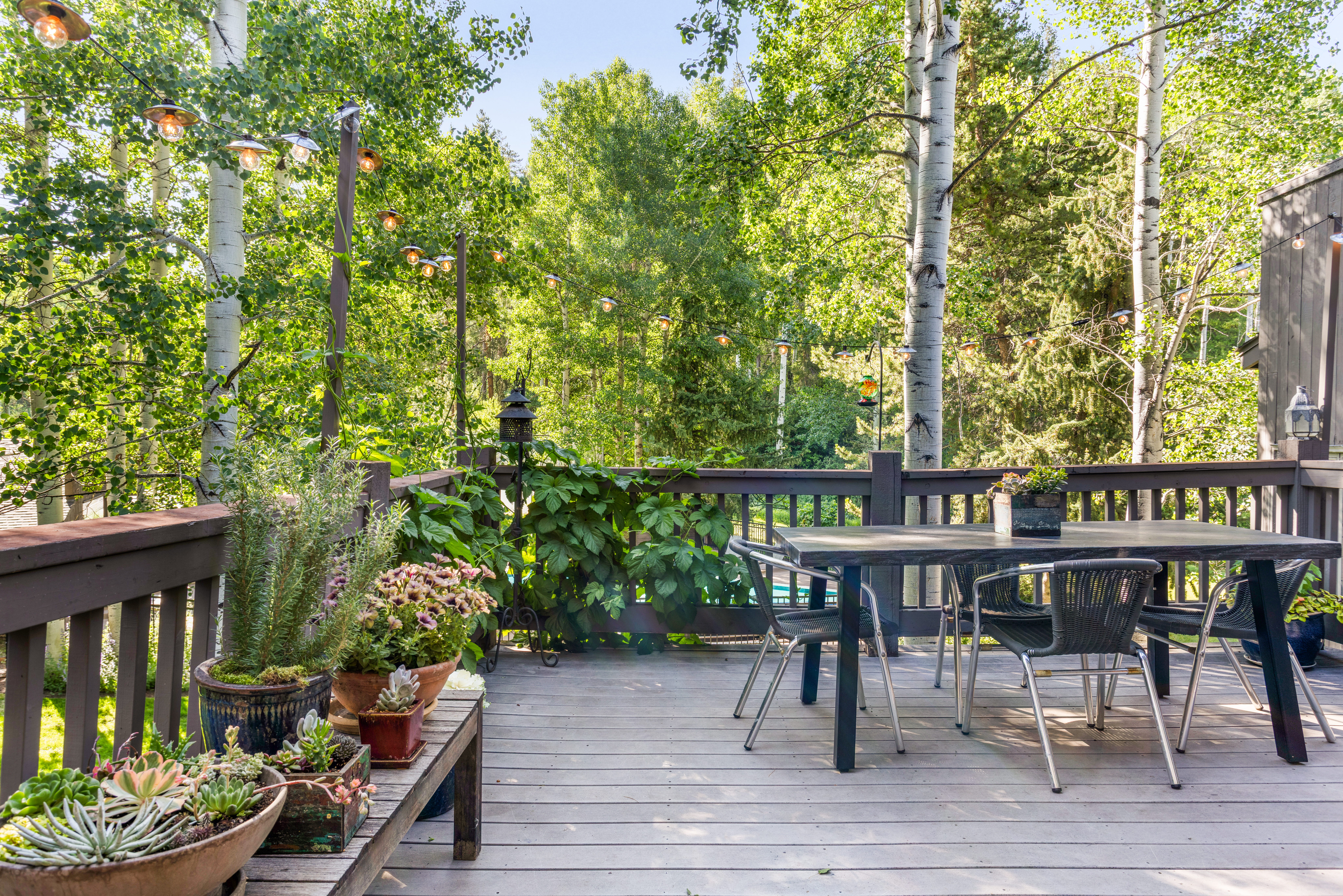  Open Acres in Genuinely Tranquil Alpine Setting that is Hard to Come by in Vail - 物件實景