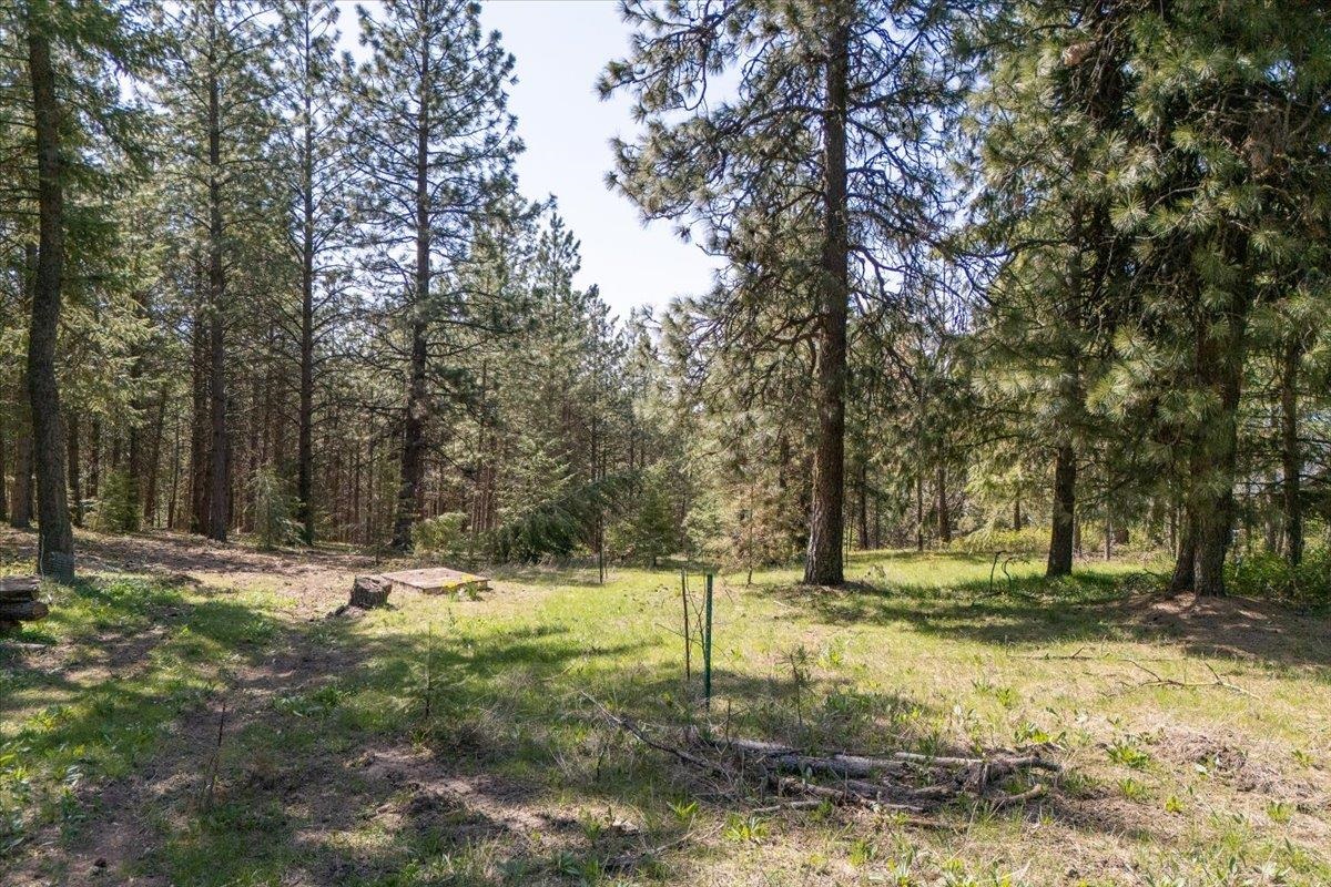 Spokane, Washington, 99223, United States, ,Land,For Sale,1795028