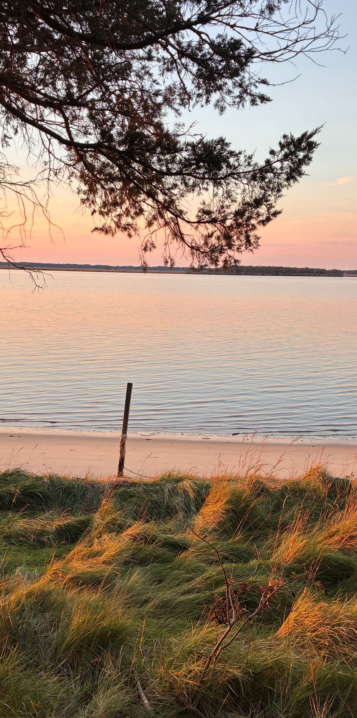 Princess Anne, Maryland, 21853, United States, 3 Bedrooms Bedrooms, ,2 BathroomsBathrooms,Residential,For Sale,1980911