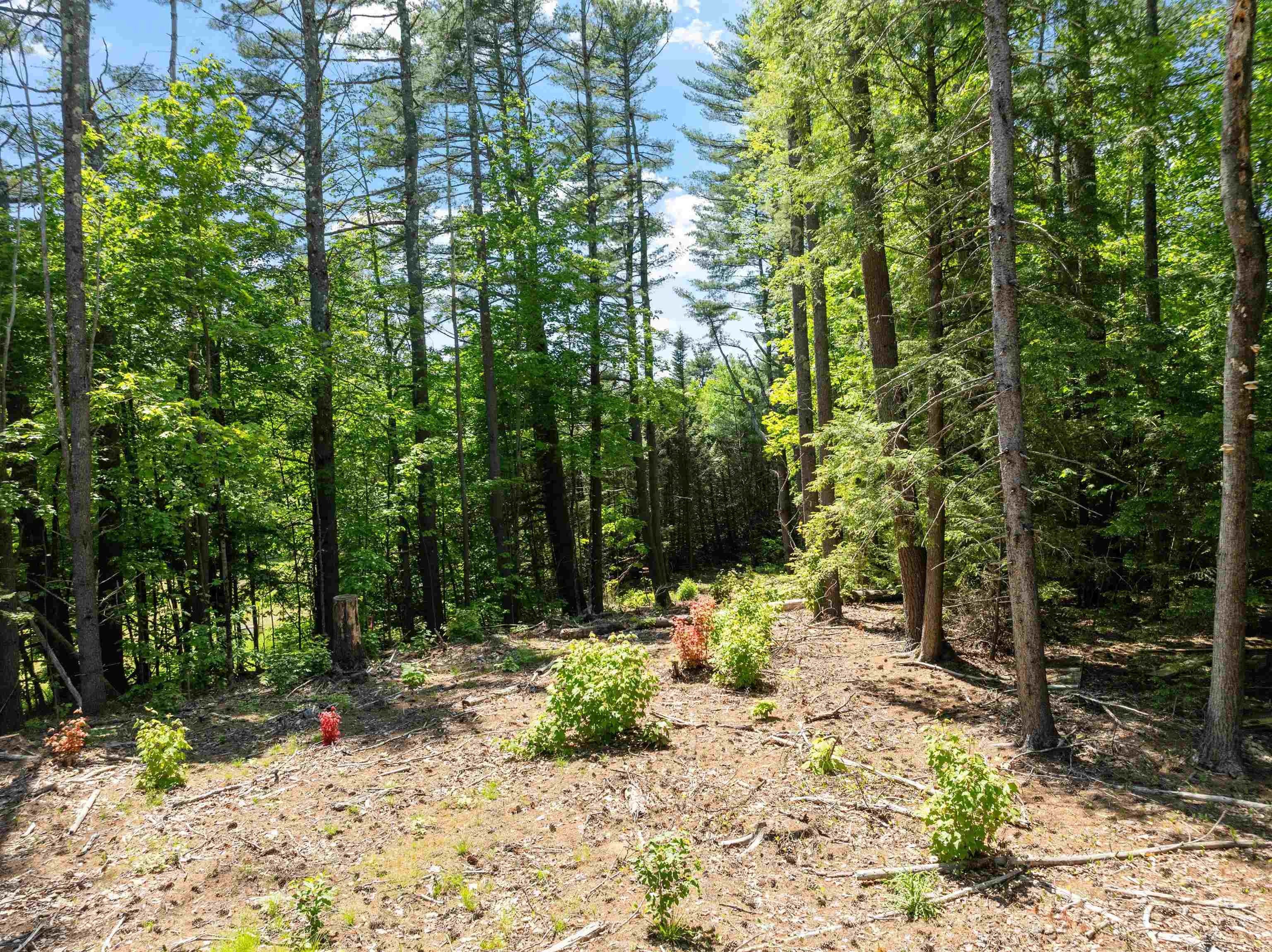 Thornton, New Hampshire, 03285, United States, 3 Bedrooms Bedrooms, ,3 BathroomsBathrooms,Residential,For Sale,1715650