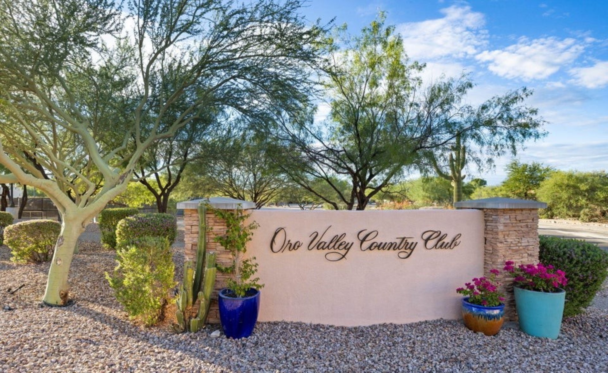  435 W Valoro Drive¦Tucson, AZ - 物件實景