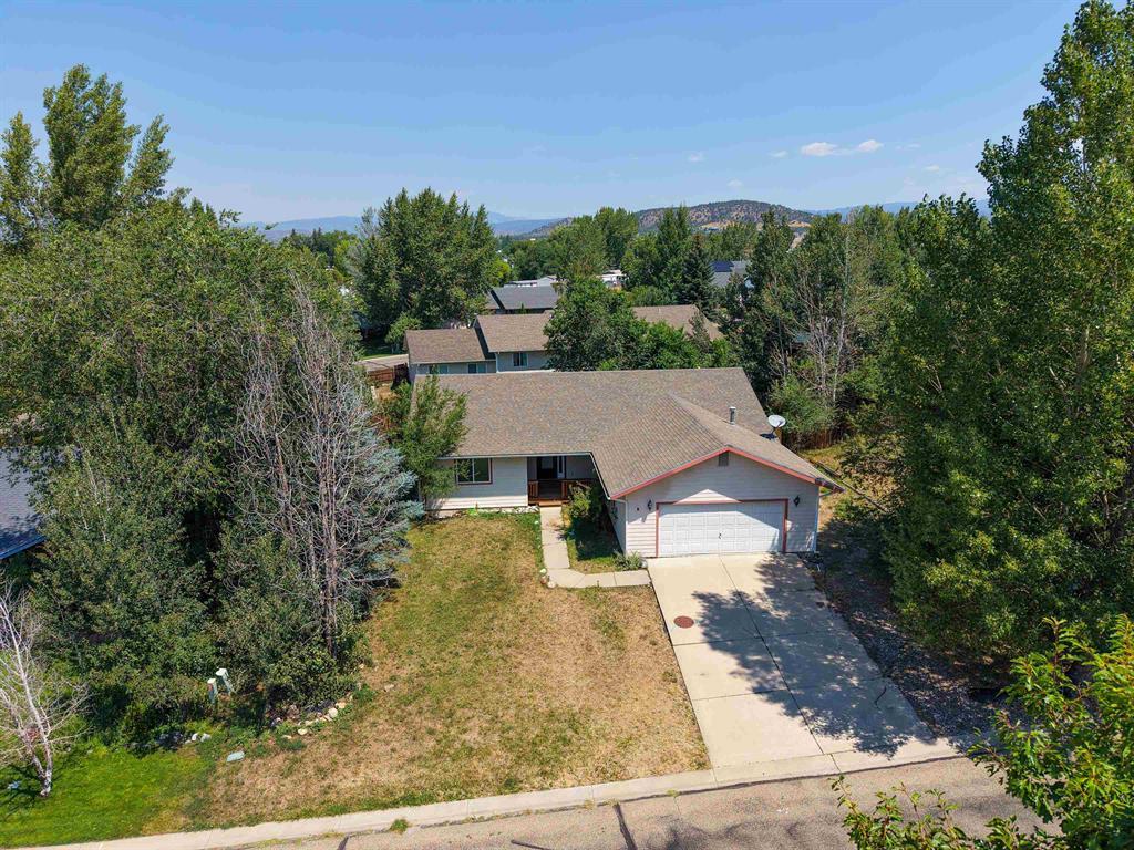 Meadows Cir, Bayfield, CO 81122 #1