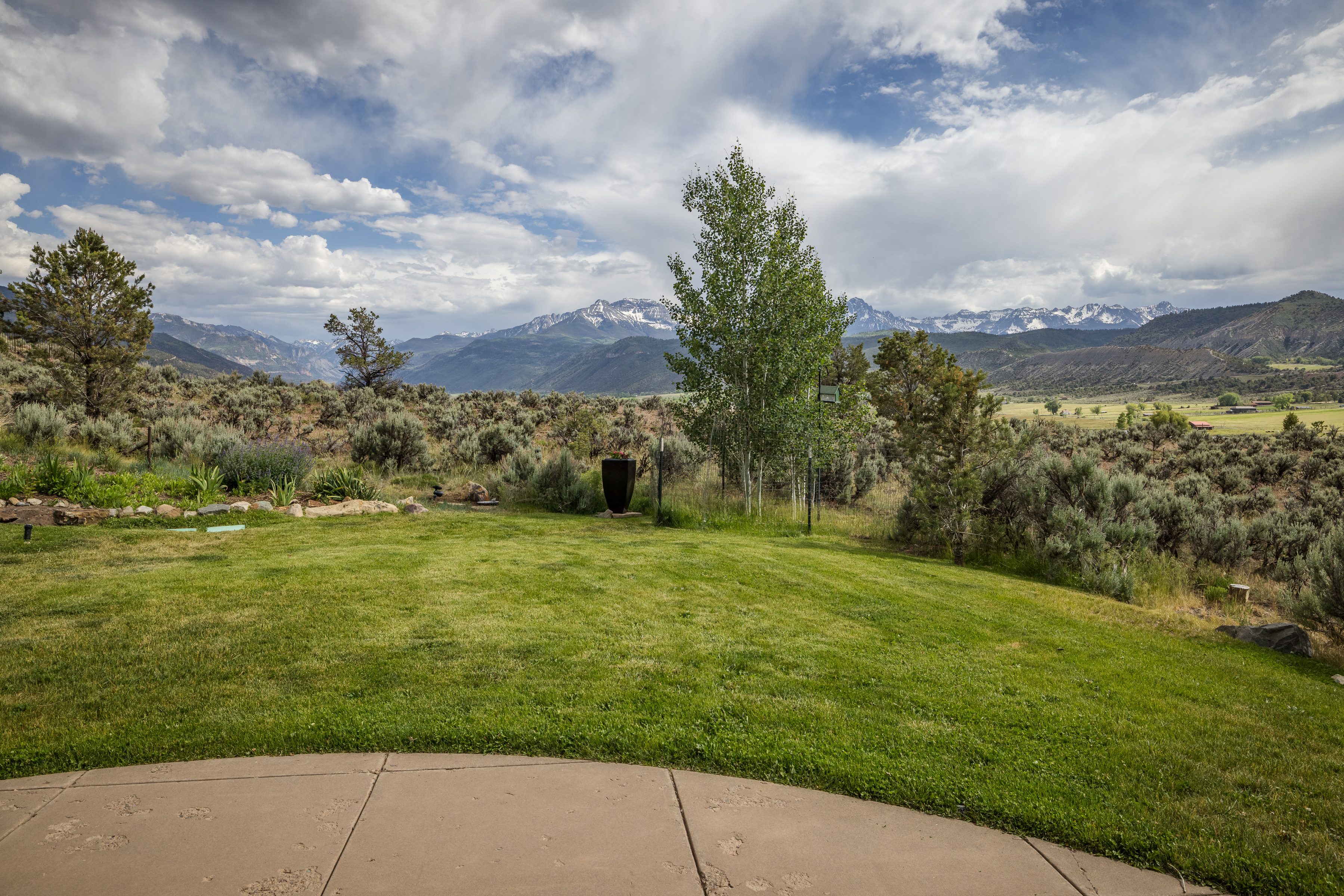  800 Golden Eagle Trail, Ridgway, CO, 81432 - 物件實景