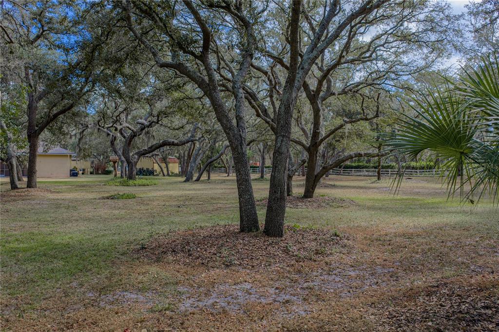 Riverview, Florida, 33569, United States, 4 Bedrooms Bedrooms, ,3 BathroomsBathrooms,Residential,For Sale,1991994