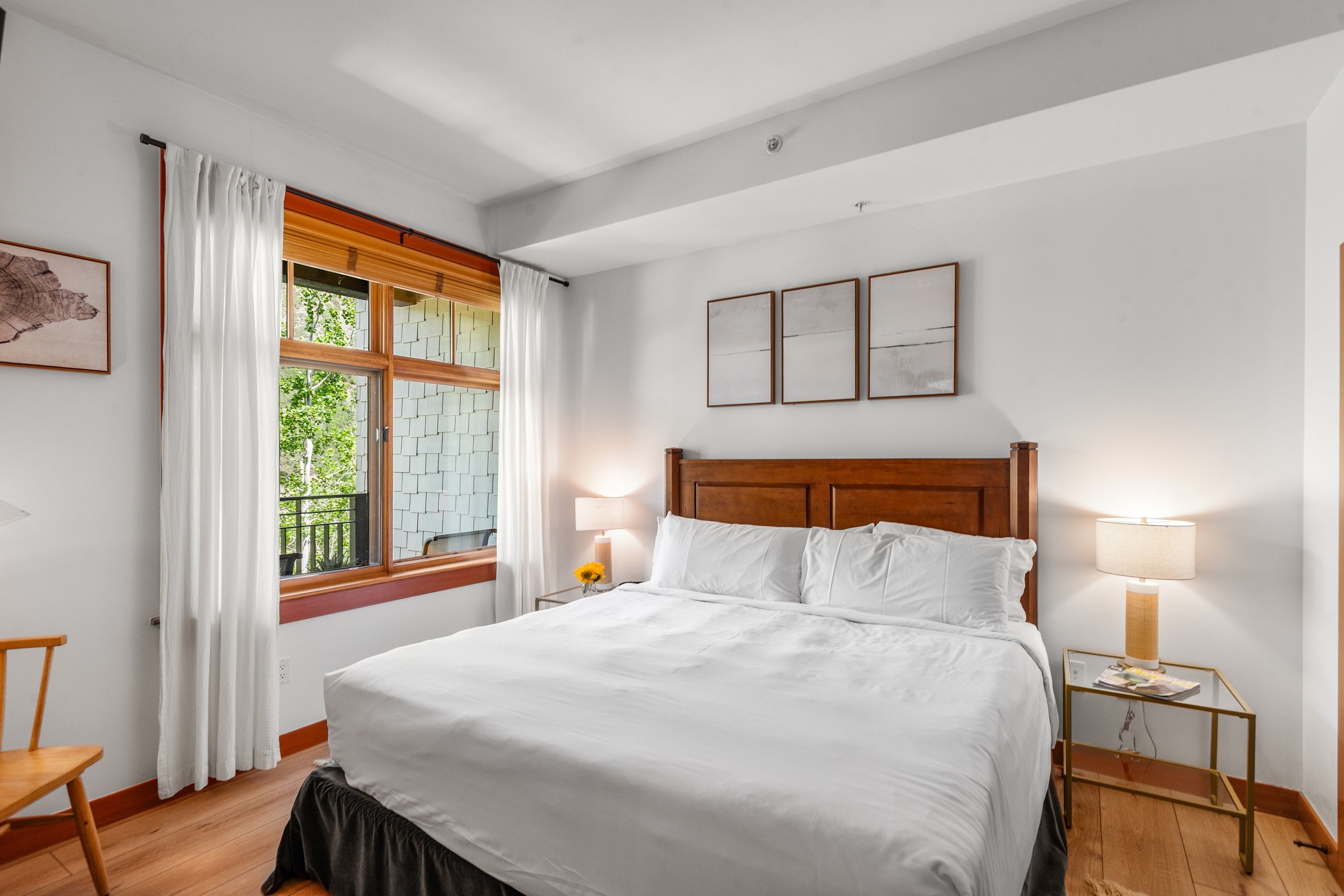  90 Carriage Way, Snowmass Village, CO, 81615 - 物件實景