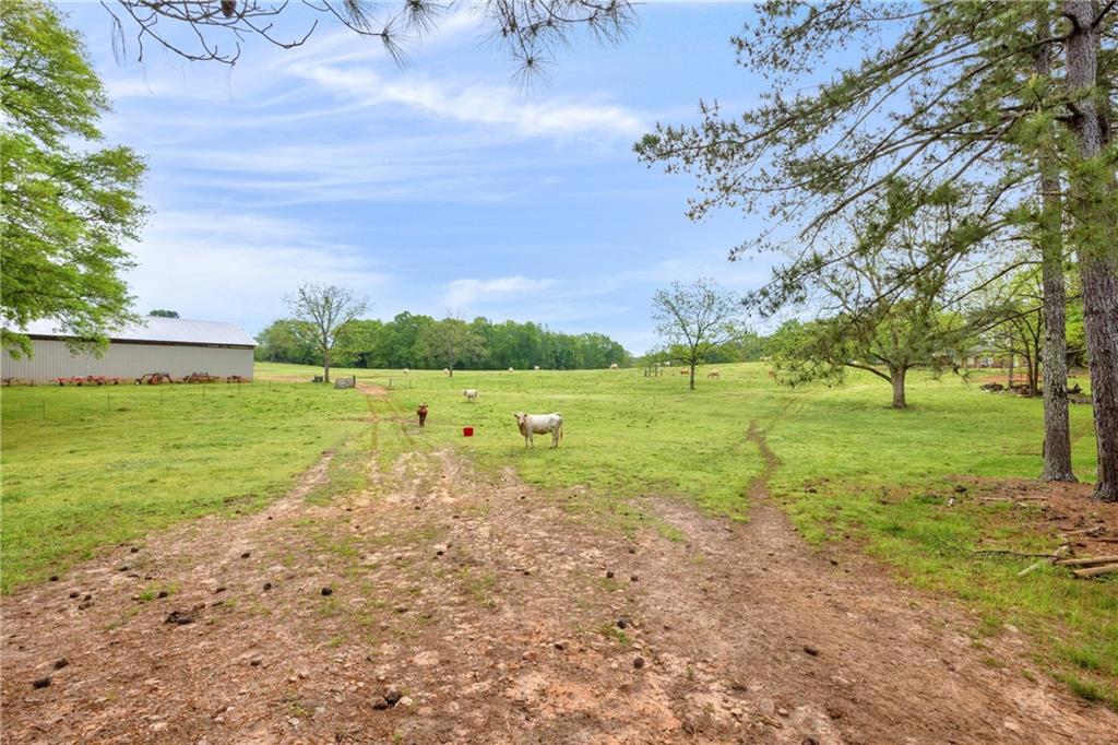 Shiloh, Georgia, 31826, United States, 3 Bedrooms Bedrooms, ,1 BathroomBathrooms,Land,For Sale,1974369