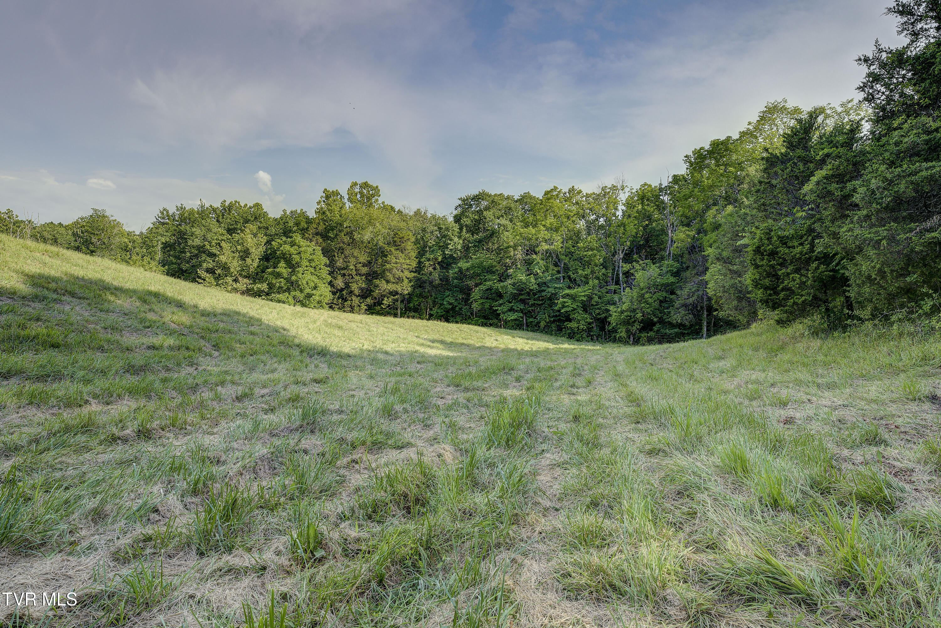Piney Flats, Tennessee, 37686, United States, ,Land,For Sale,1983828