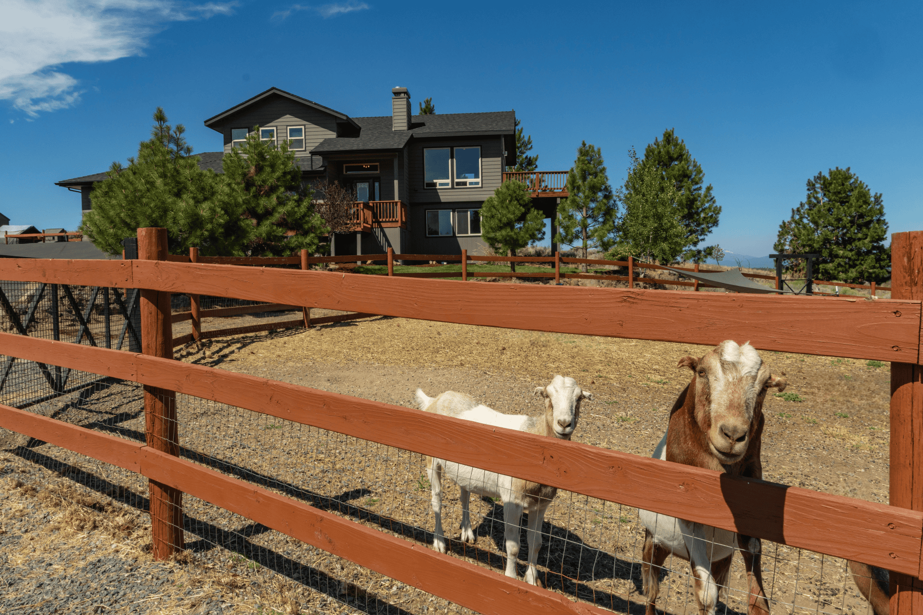  59639 Saskatoon Lane Bend, OR 97702 - 物件實景