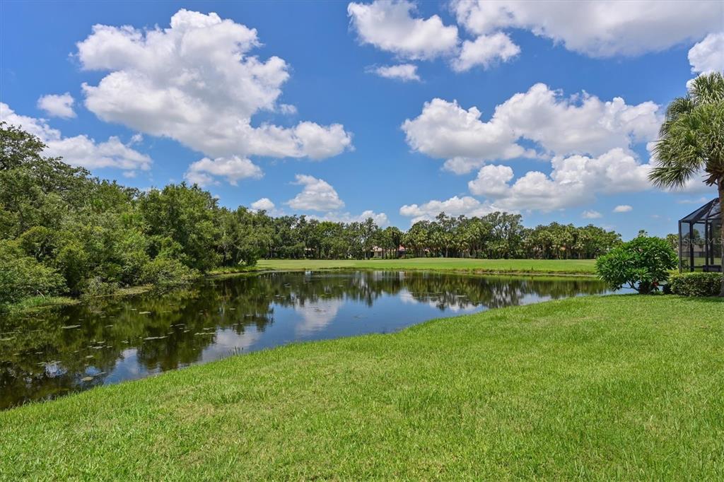 Bradenton, Florida, 34212, United States, 3 Bedrooms Bedrooms, ,2 BathroomsBathrooms,Residential,For Sale,1906883