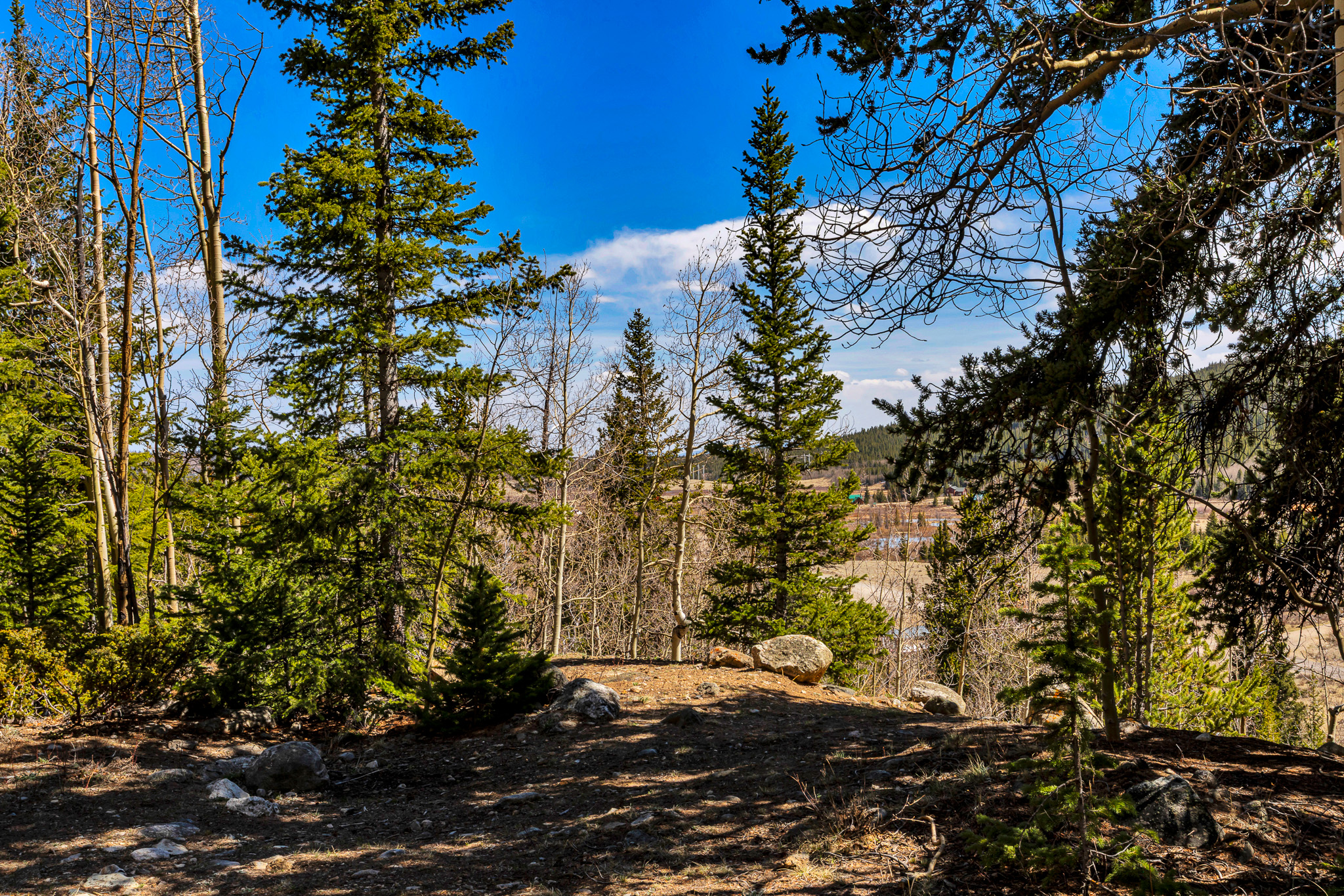  270 Co Rd 667, Alma, CO, 80440 - 物件實景