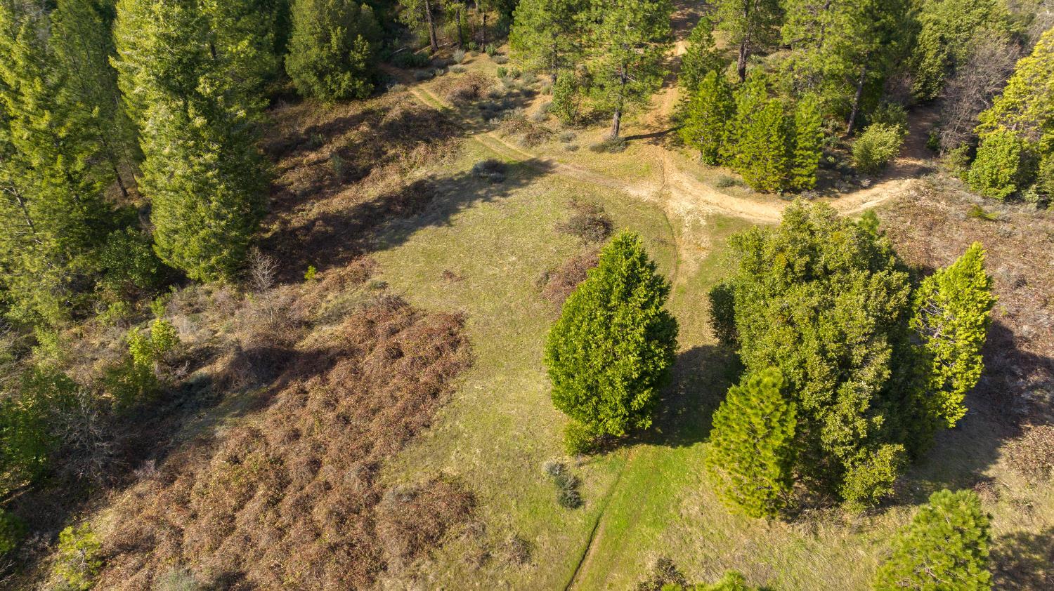 Camptonville, California, 95922, United States, 1 Bedroom Bedrooms, ,2 BathroomsBathrooms,Residential,For Sale,1938019