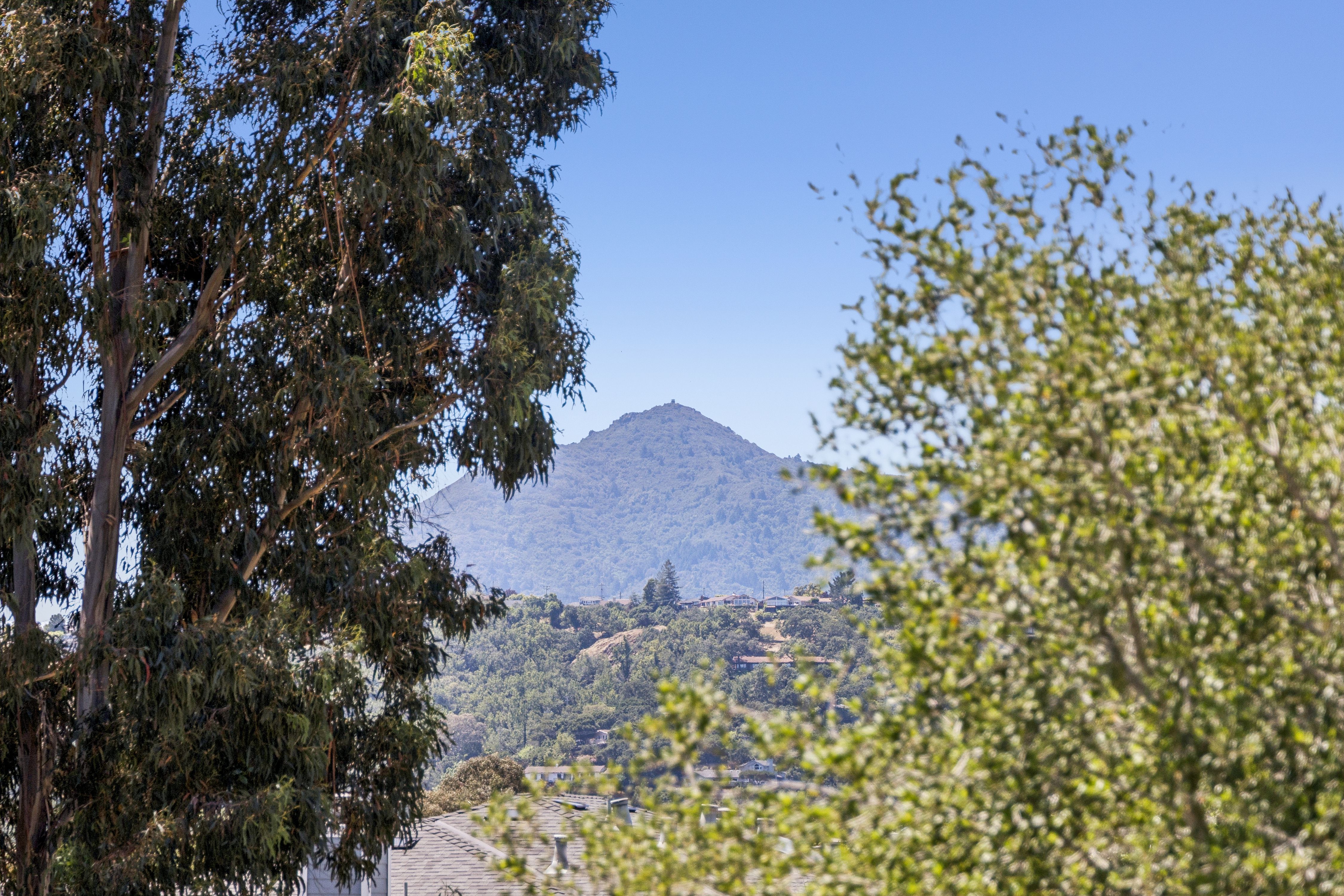  Desirable Vista Marin Neighborhood - 物件實景