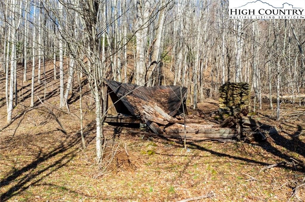 Warrensville, North Carolina, 28693, United States, ,Land,For Sale,1984173