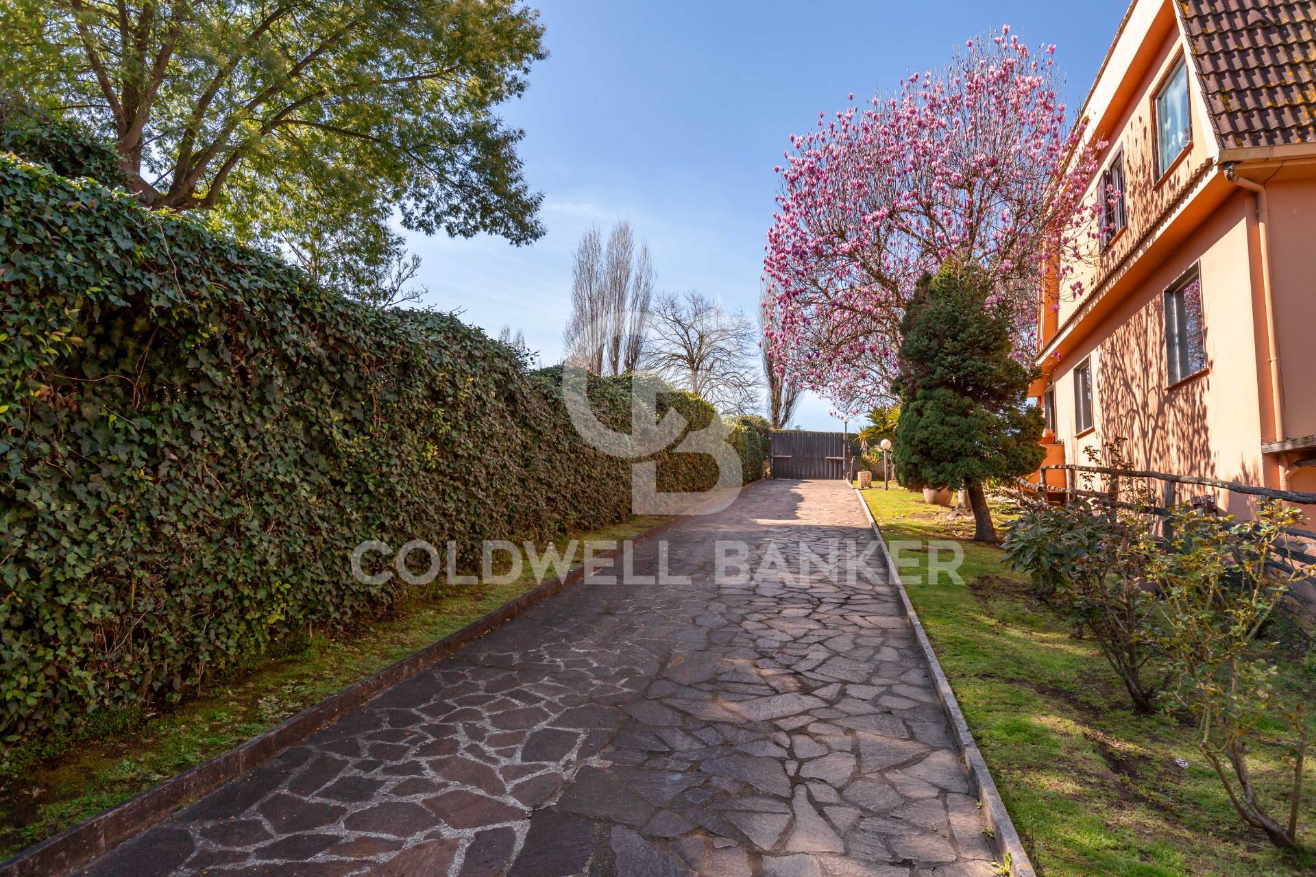 Castel De' Ceveri-casal De' Ceveri RM, Formello, Roma, 00060, IT, 4 Bedrooms Bedrooms, ,4 BathroomsBathrooms,Residential,For Sale,Castel De' Ceveri-casal De' Ceveri RM,1613377