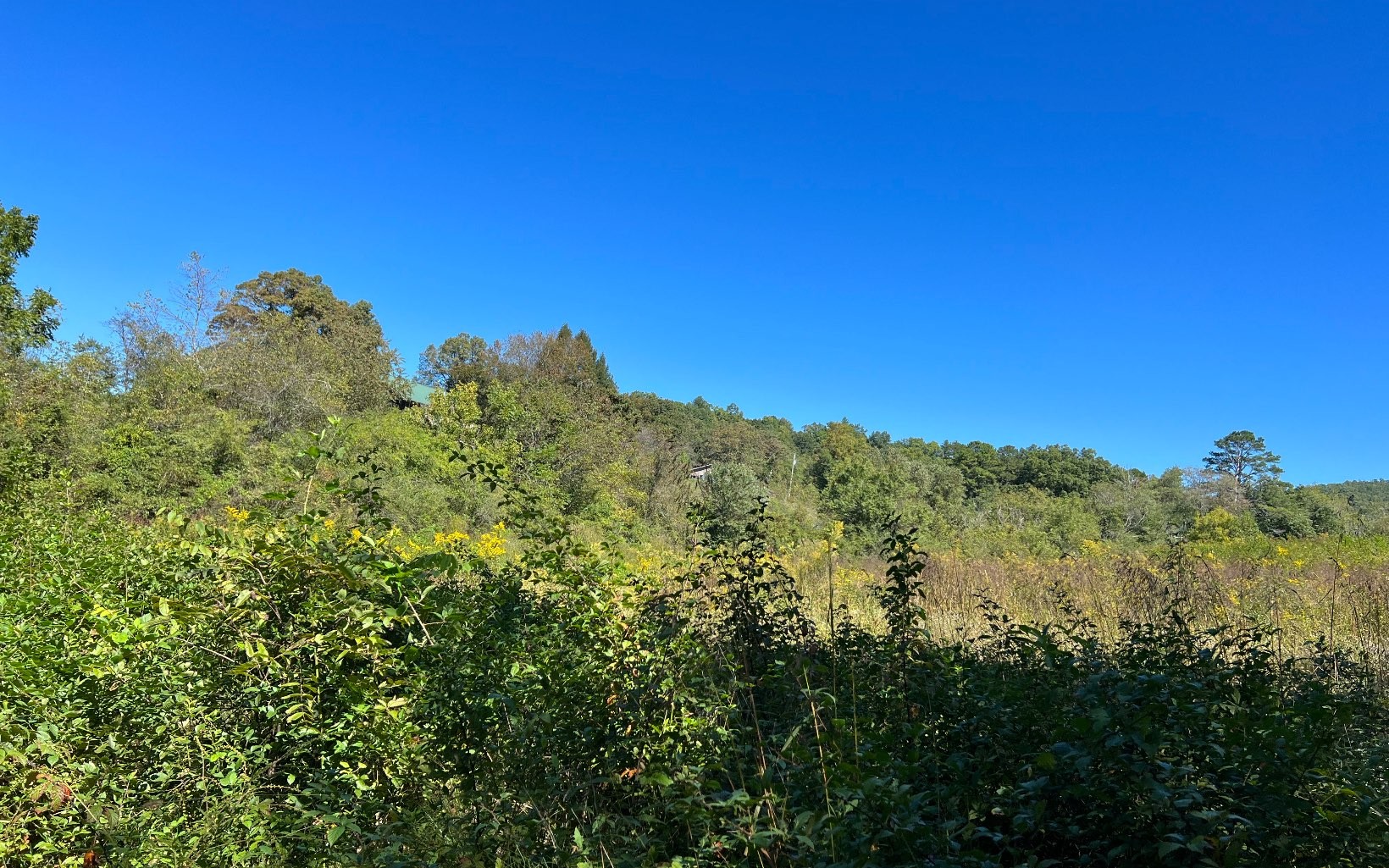 Hayesville, North Carolina, 28904, United States, ,Residential,For Sale,1943293