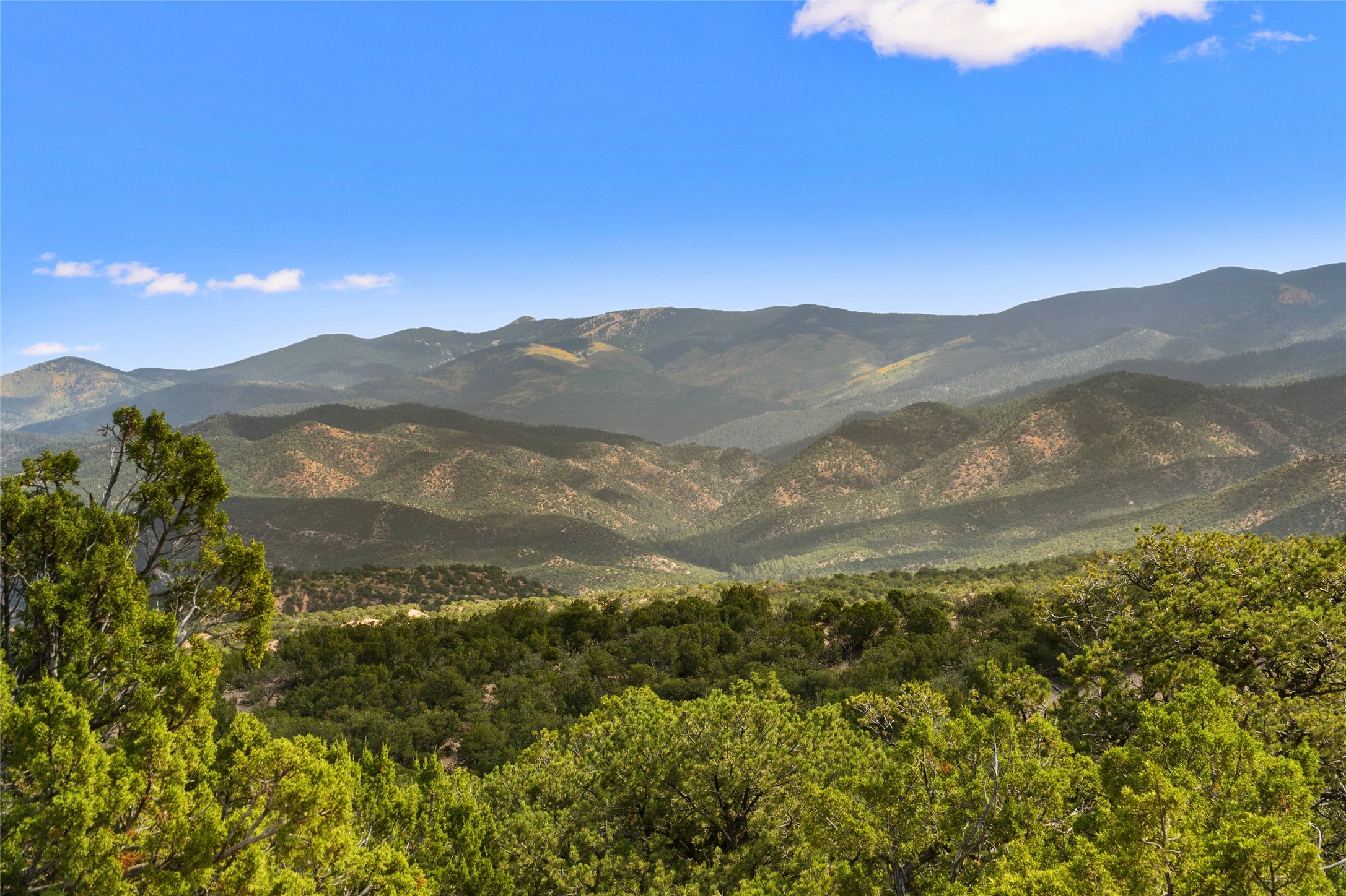  2901 Aspen View, Lot 185 - 物件實景