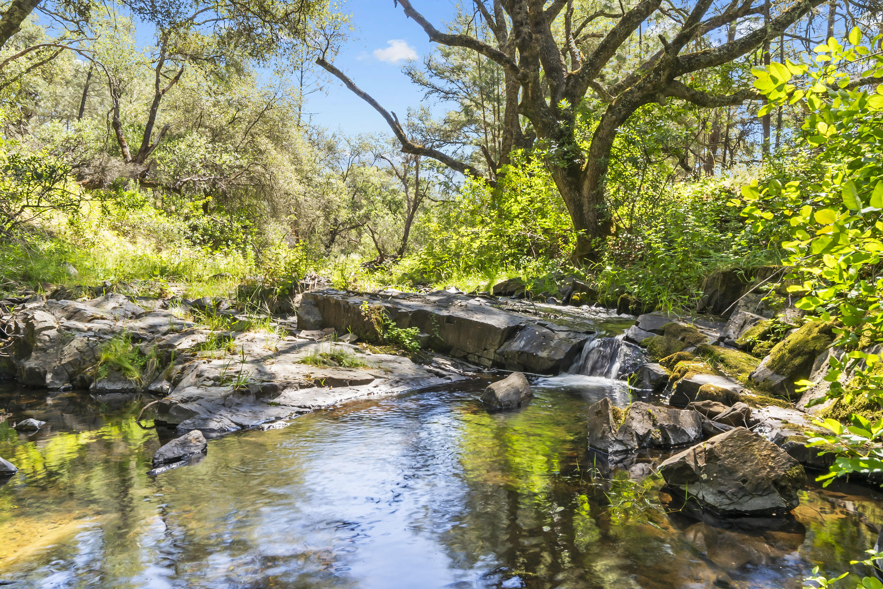  Amoruso Ranch 1000+ Acres Legacy - 物件實景