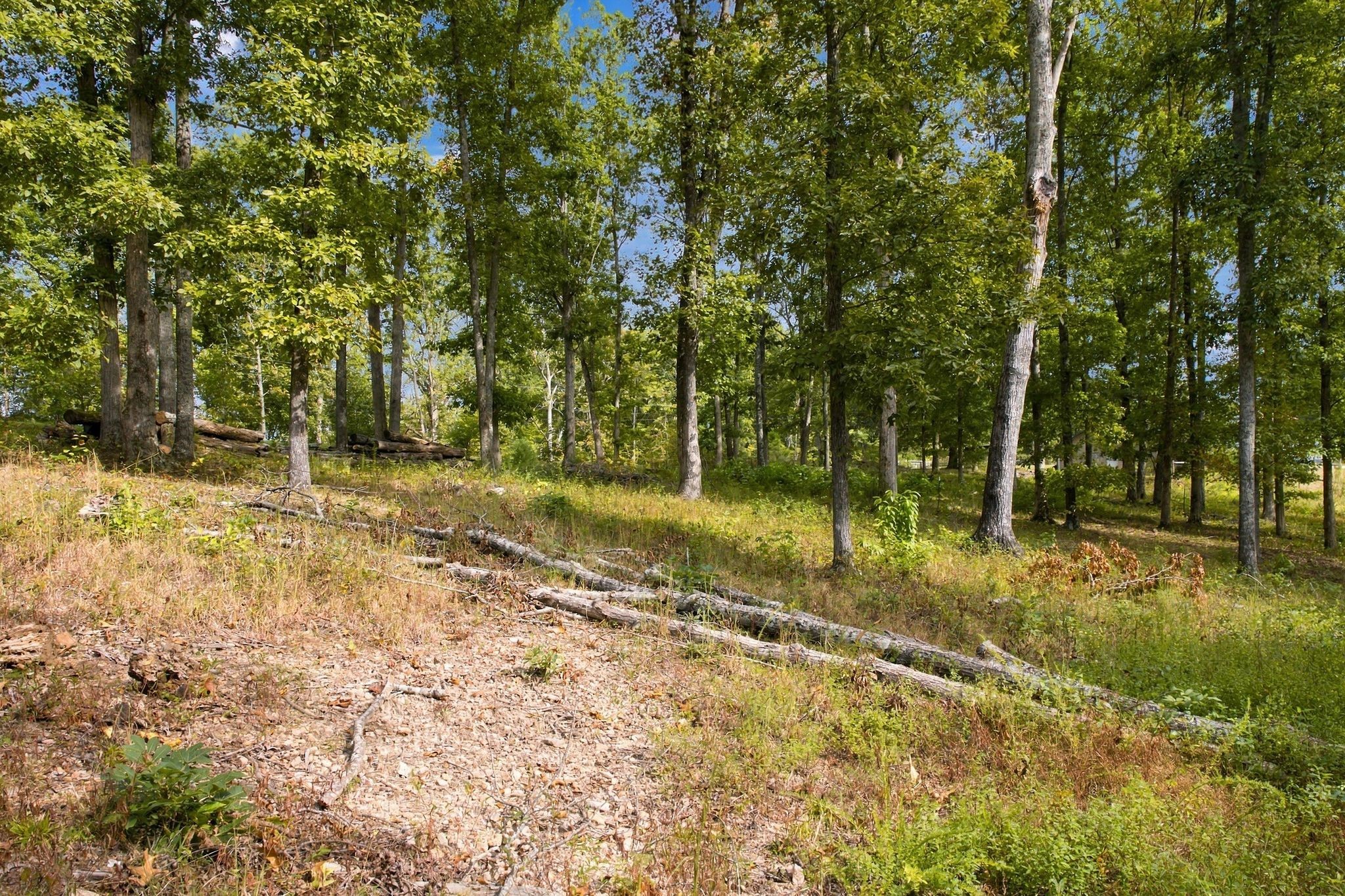  5580 Powell Sullivan Rd, Franklin, TN, 37064 - 物件實景