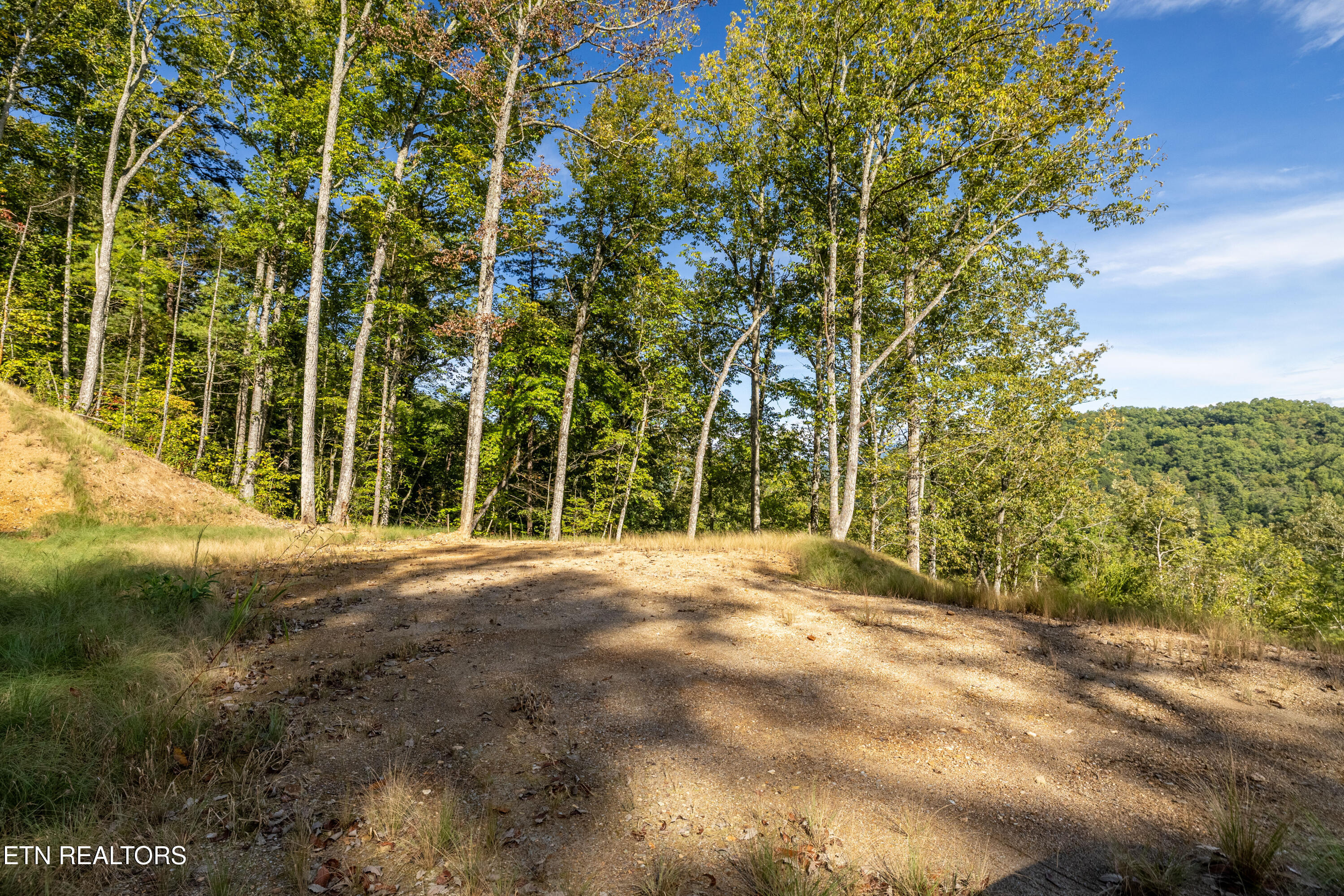 Townsend, Tennessee, 37882, United States, ,Land,For Sale,1982643