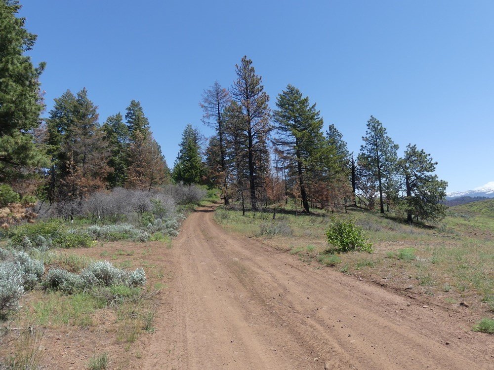 Indian Valley, Idaho, 83682, United States, ,Land,For Sale,1976667