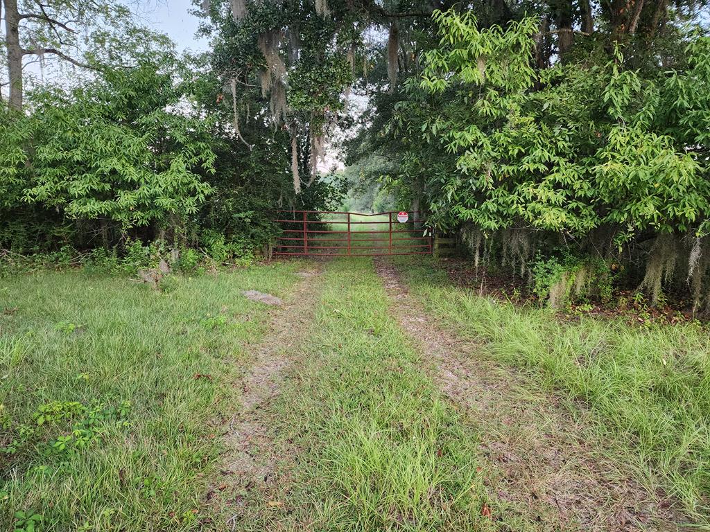Pansey, Alabama, 36370, United States, 3 Bedrooms Bedrooms, ,3 BathroomsBathrooms,Residential,For Sale,1943922