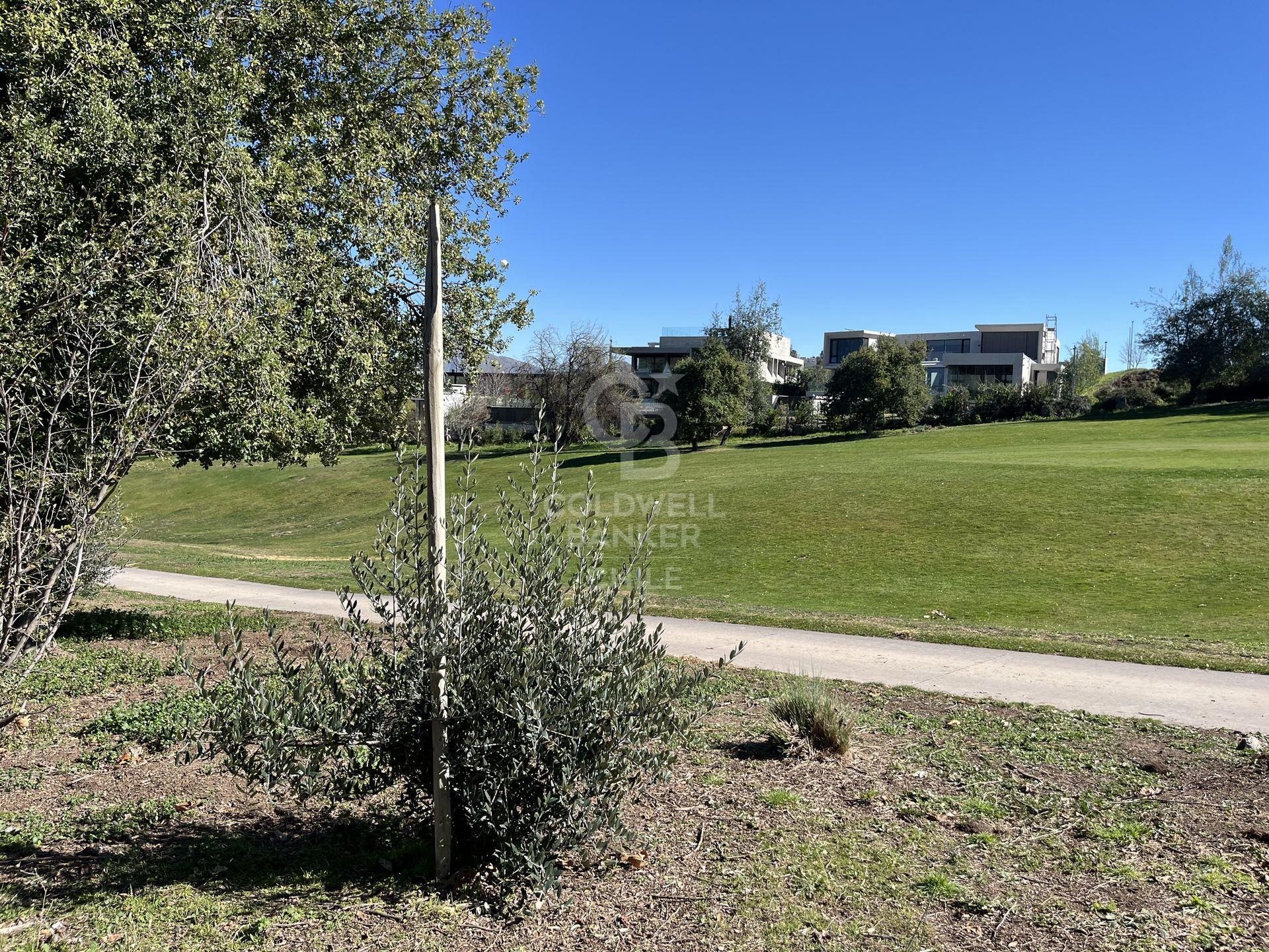Lo Barnechea, Chile, ,Land,For Sale,1972603