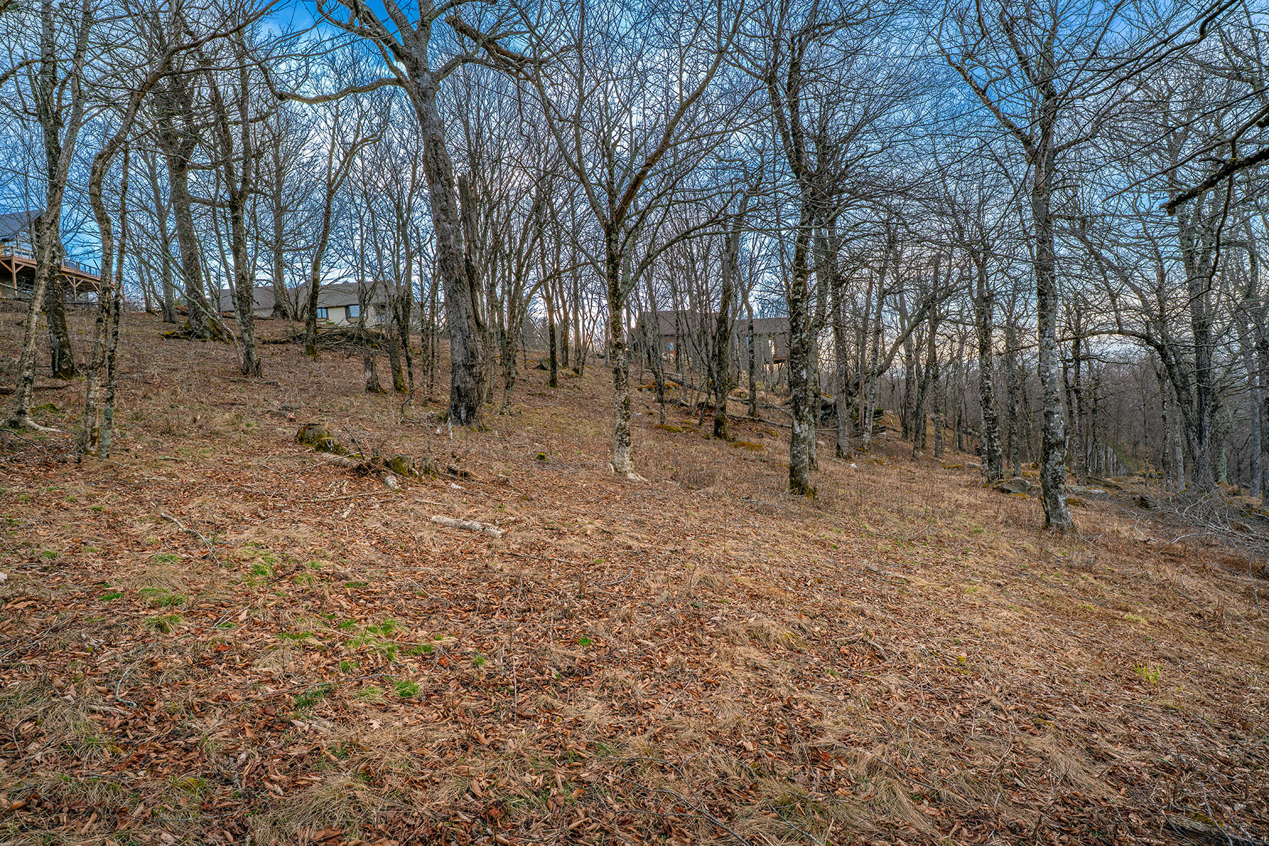  WOODLAND MEADOWS - BEECH MOUNTAIN - 物件實景