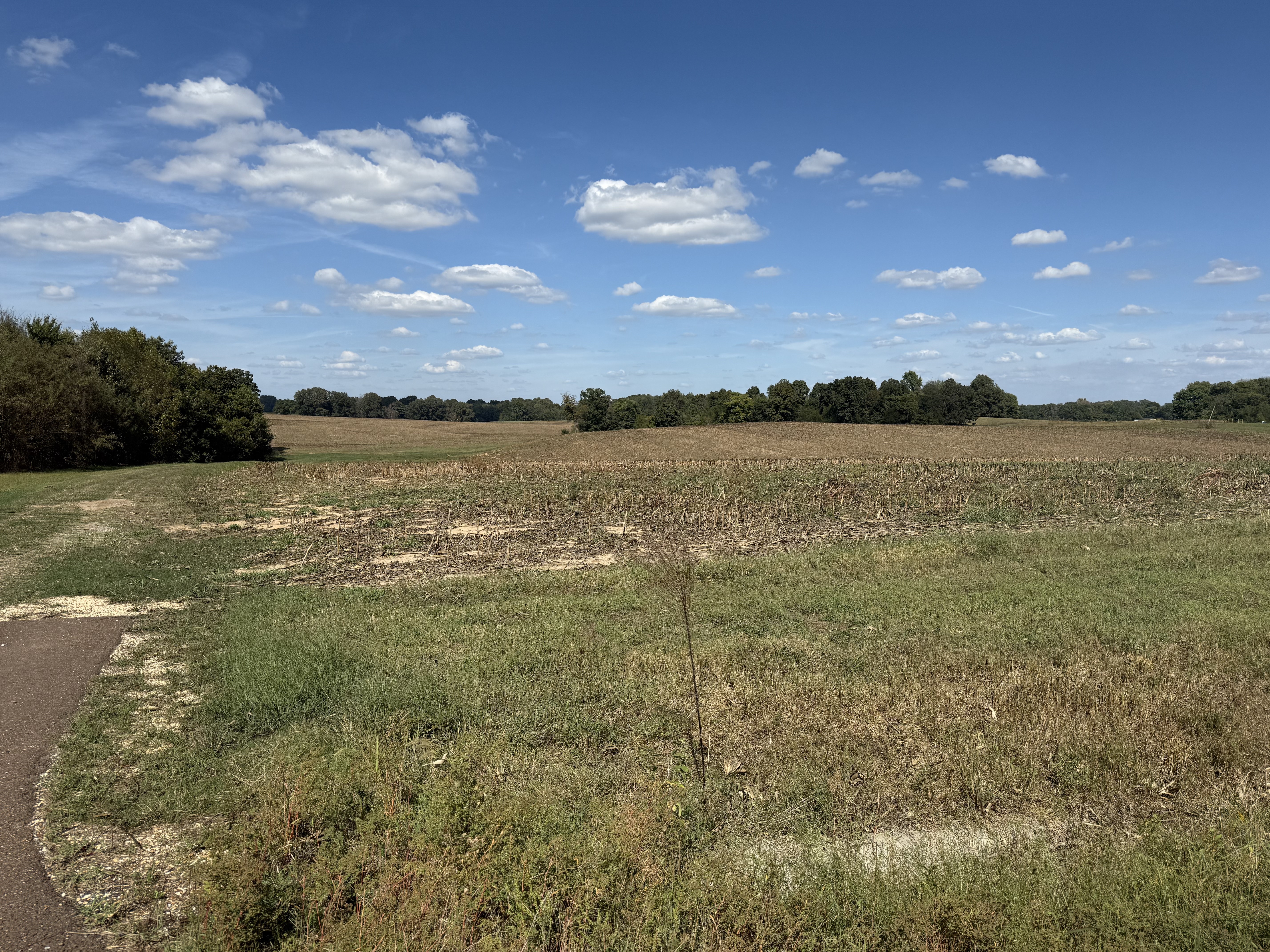 Union City, Tennessee, 38261, United States, ,Land,For Sale,1983547