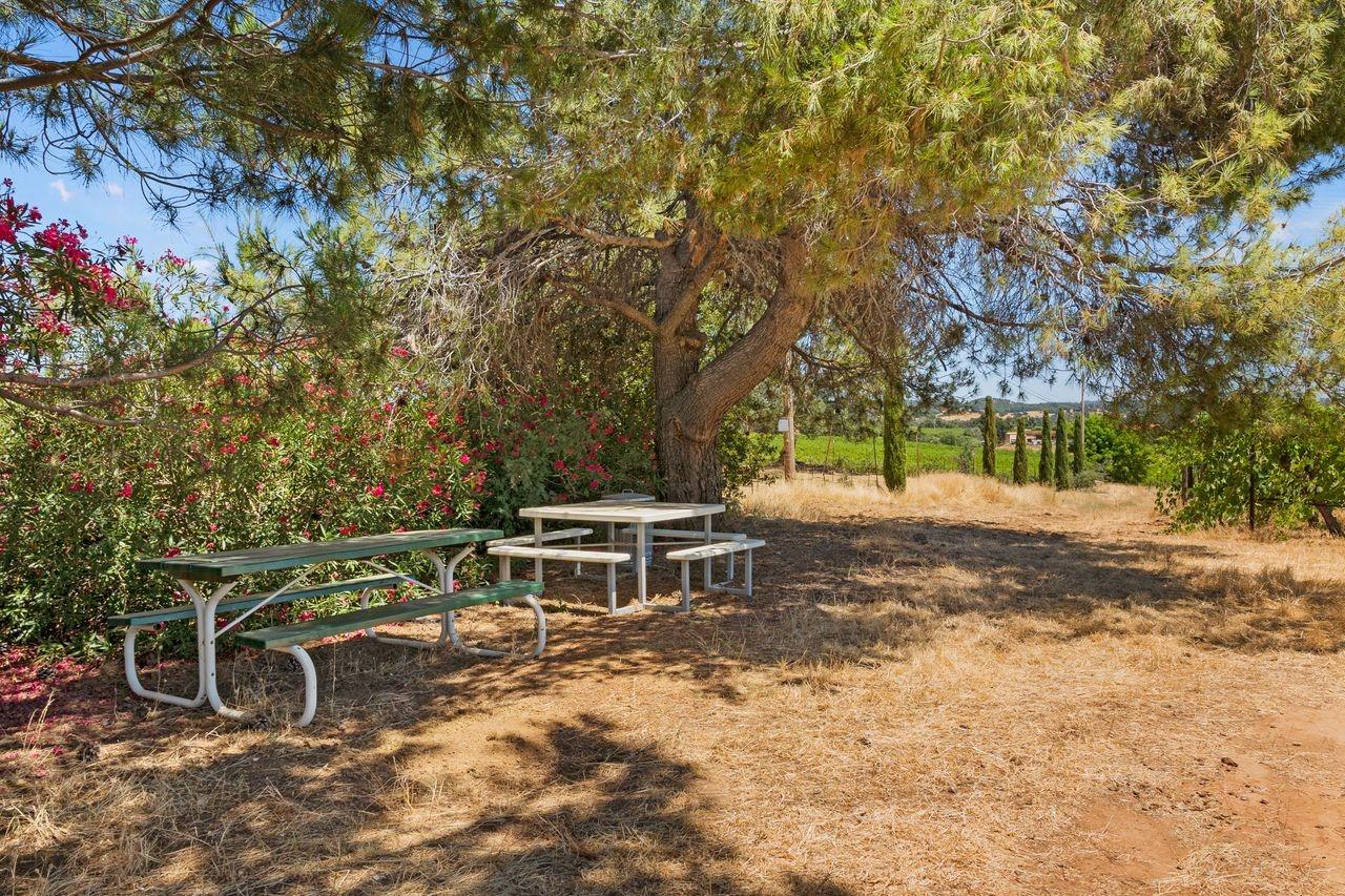 21226 Dickson Road, Plymouth, California, 95669, United States, ,Land,For Sale,21226 Dickson Road,1672447