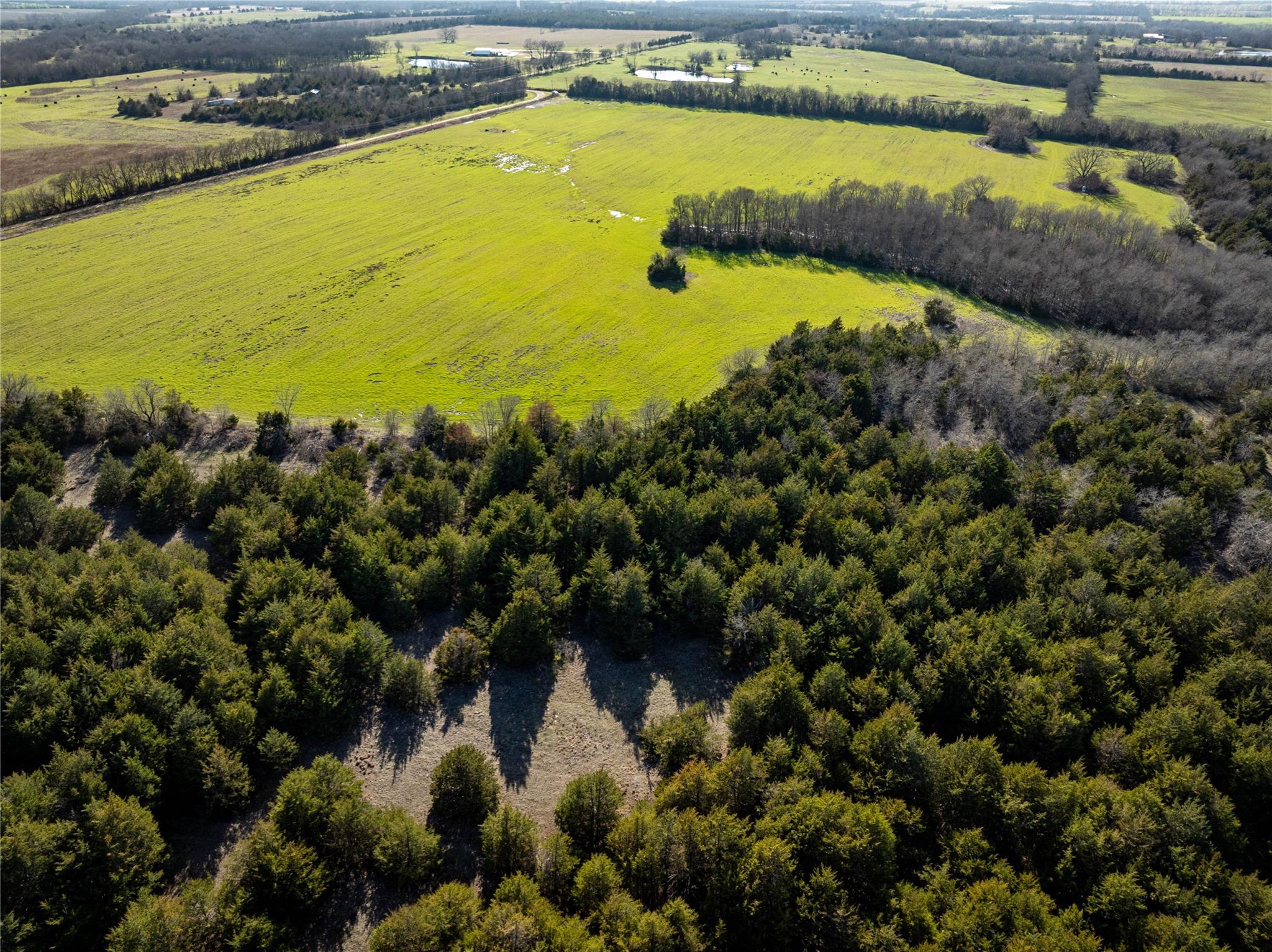 Roxton, Texas, 75477, United States, ,Residential,For Sale,1872354
