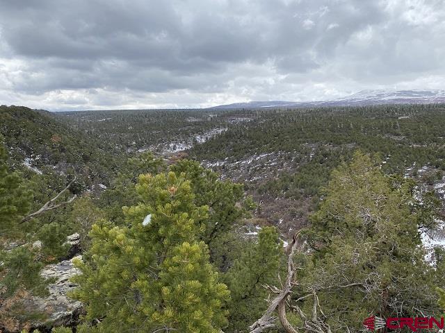 Montrose, Colorado, 81403, United States, ,Land,For Sale,1919926