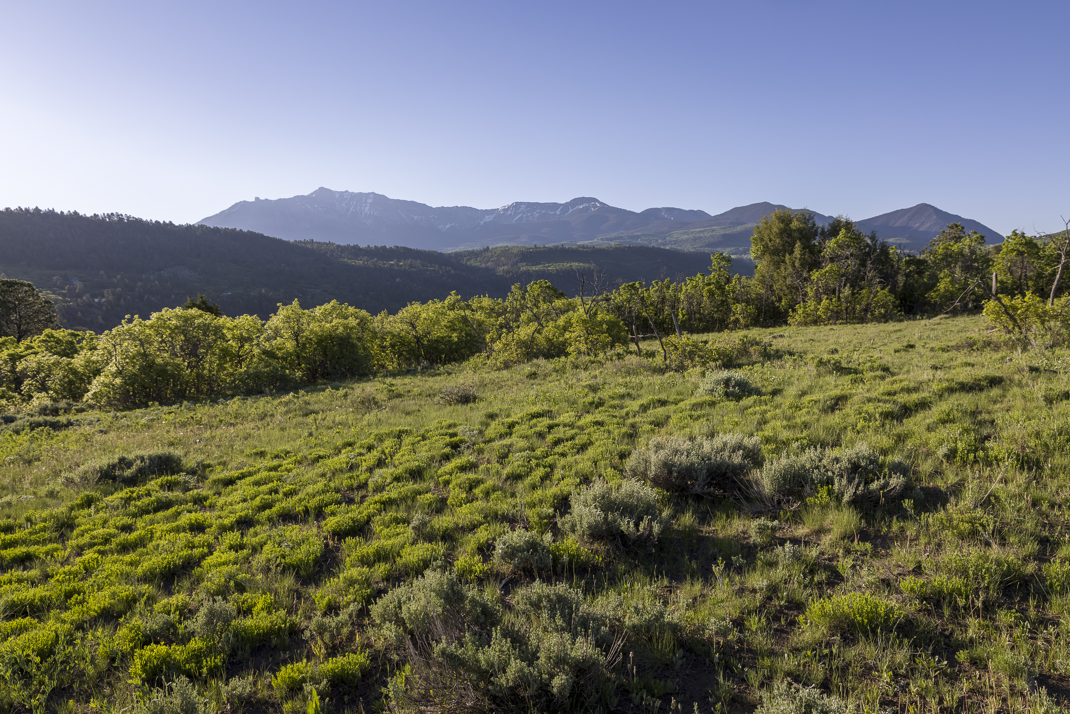  Telluride Renegade Ranch - 602 acres on Hastings Mesa - 物件實景