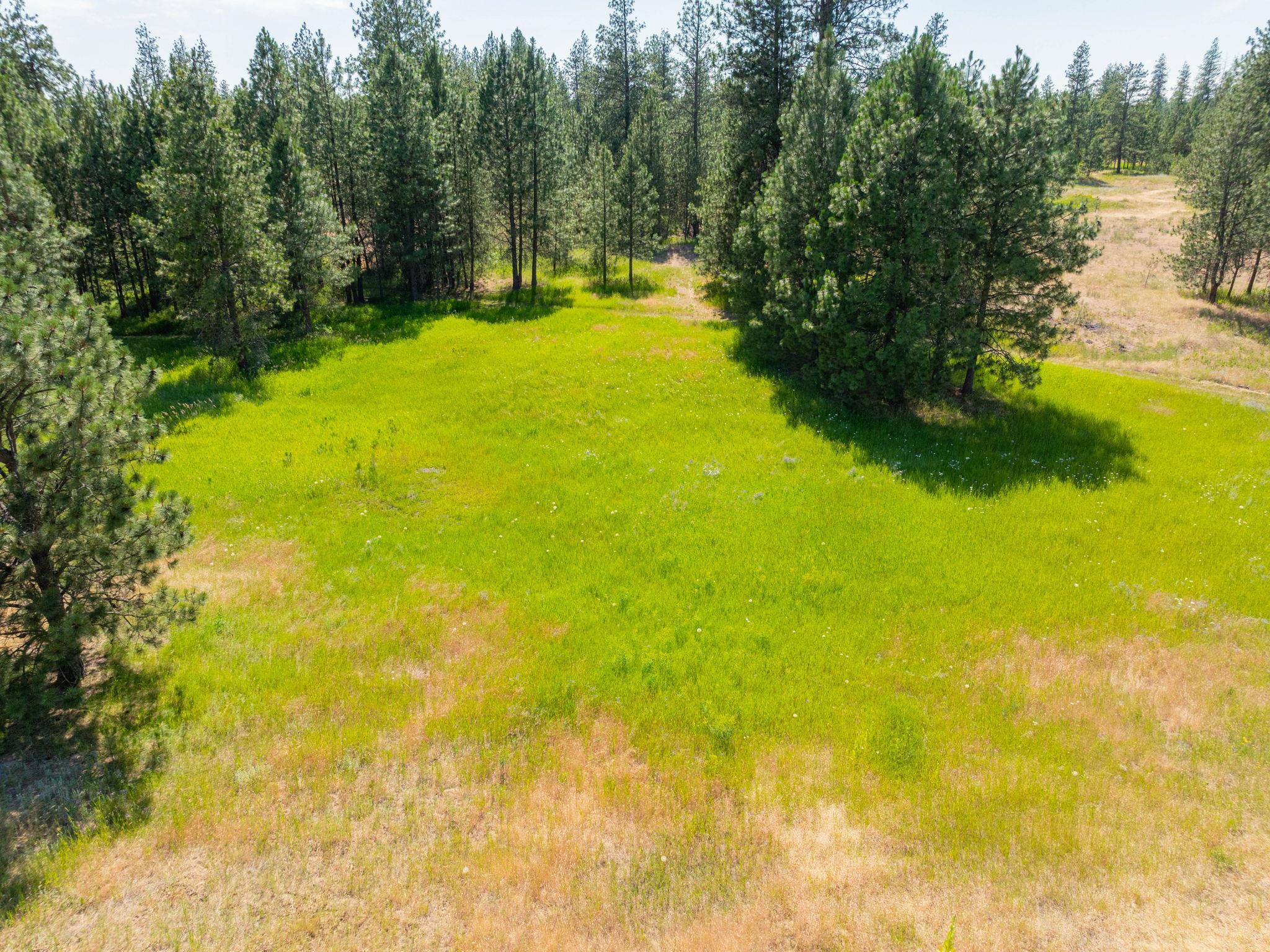Nine Mile Falls, Washington, 99026, United States, ,Land,For Sale,1960887
