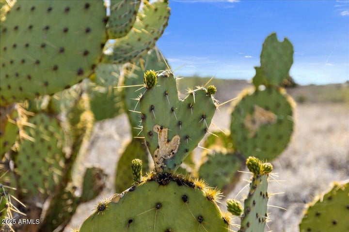 Mayer, Arizona, 86333, United States, 3 Bedrooms Bedrooms, ,3 BathroomsBathrooms,Residential,For Sale,1986123