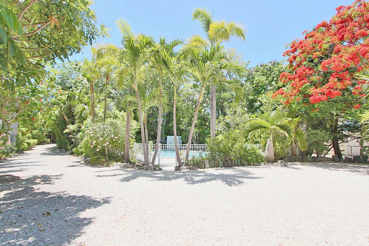 88547 Old Highway, Tavernier, Florida, 33070, United States, 4 Bedrooms Bedrooms, ,3 BathroomsBathrooms,Residential,For Sale,88547 Old Highway,1624824