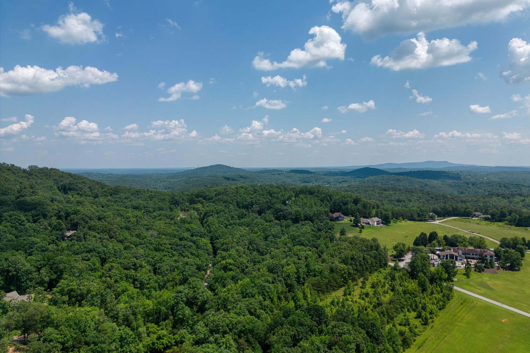  14 Alsace Way, Travelers Rest, SC 29690 - 物件實景