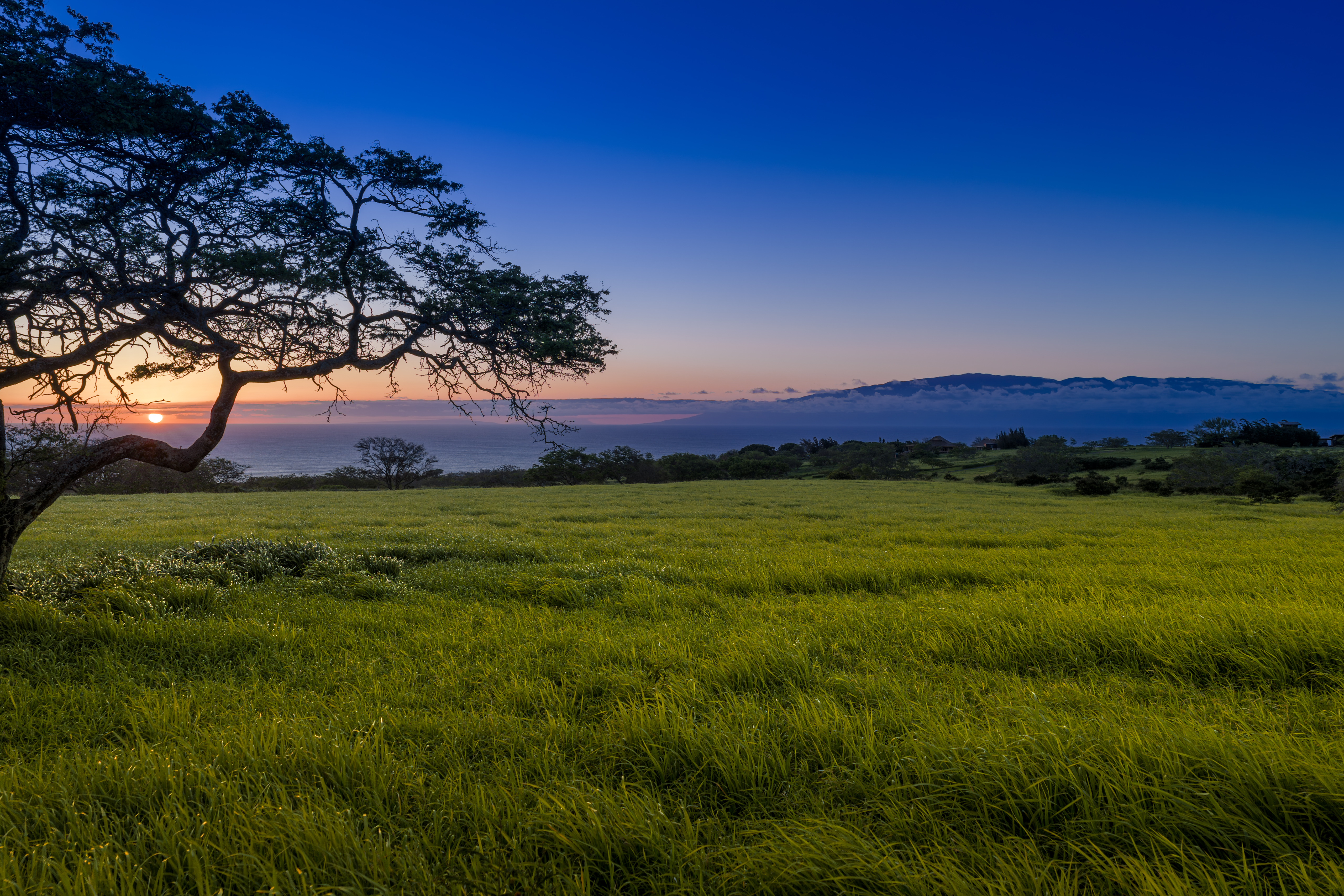  56-183 Pualani Rd, Hawi, HI, 96719 - 物件實景