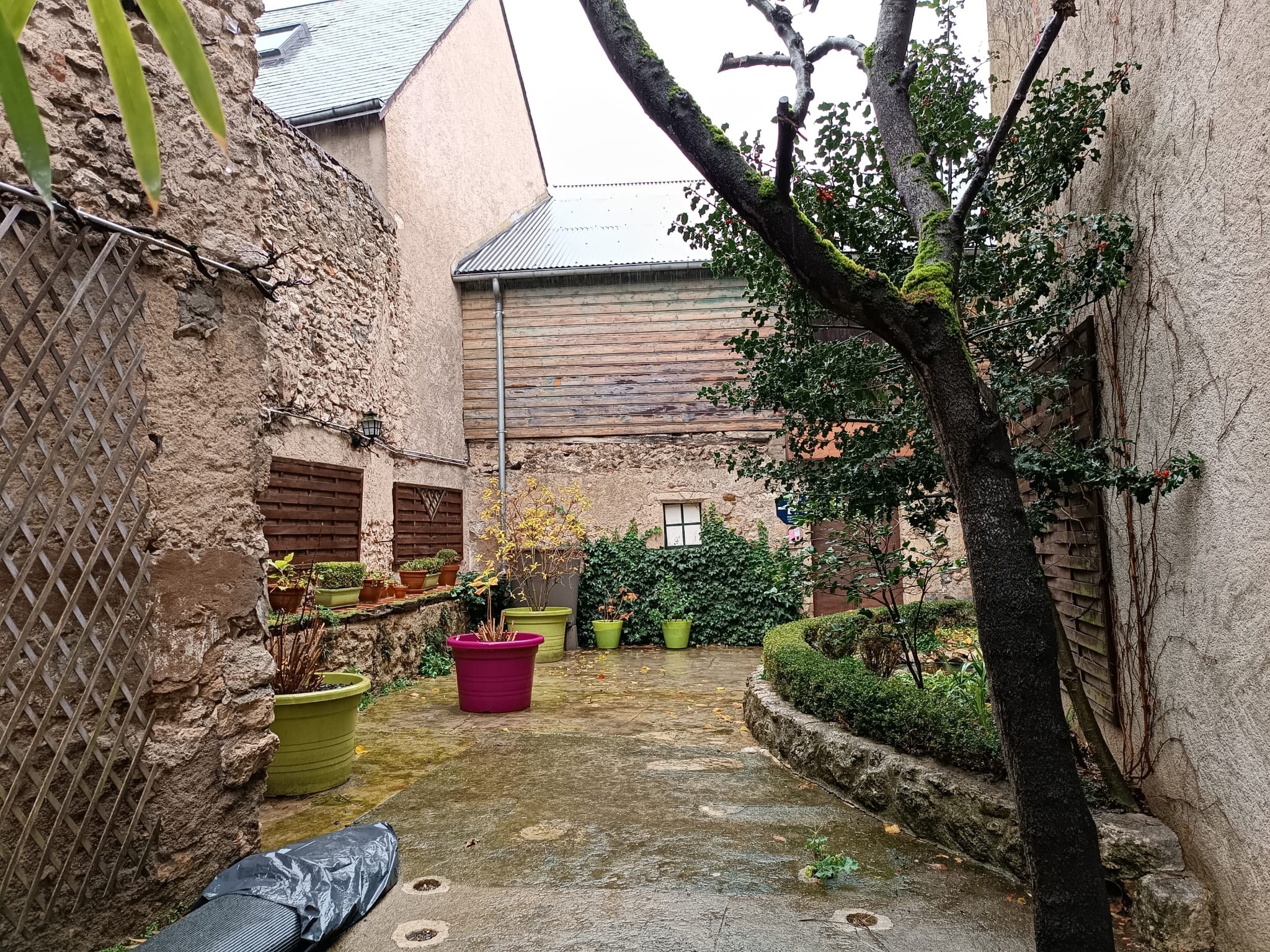  Maison - 物件實景