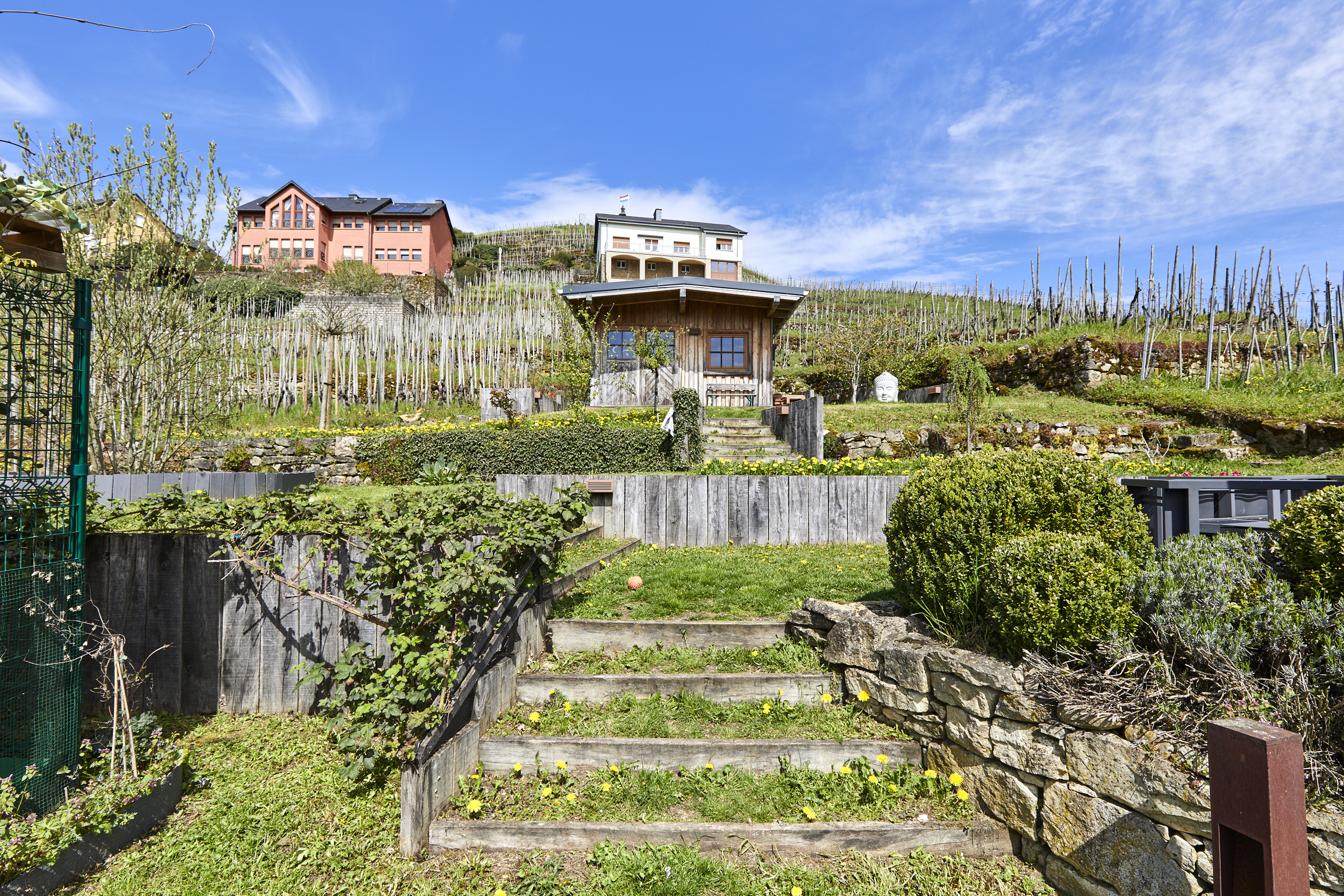  Winegrower’s house in Wormeldange - 物件實景