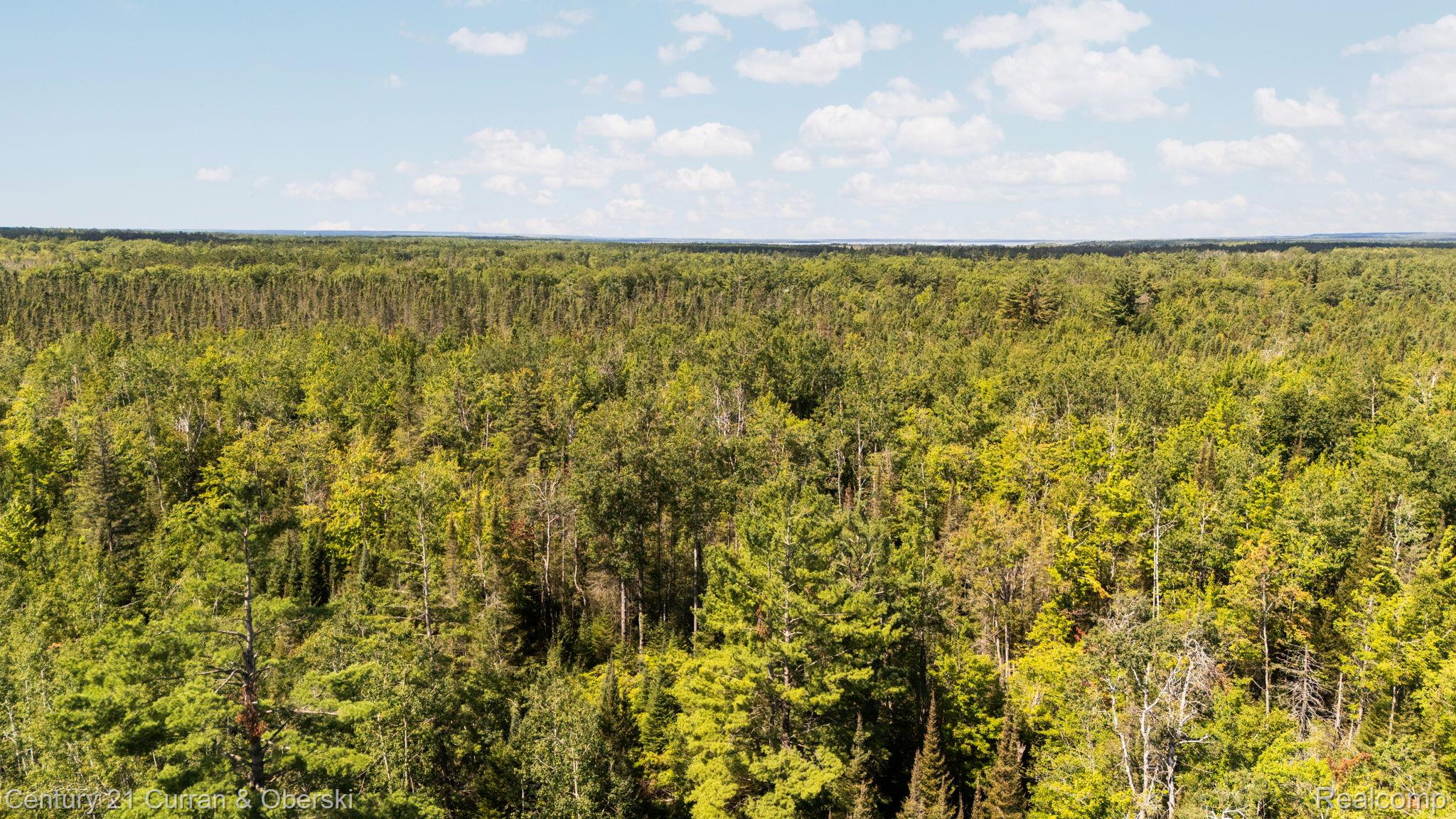 Onaway, Michigan, 49765, United States, 4 Bedrooms Bedrooms, ,2 BathroomsBathrooms,Residential,For Sale,1980098