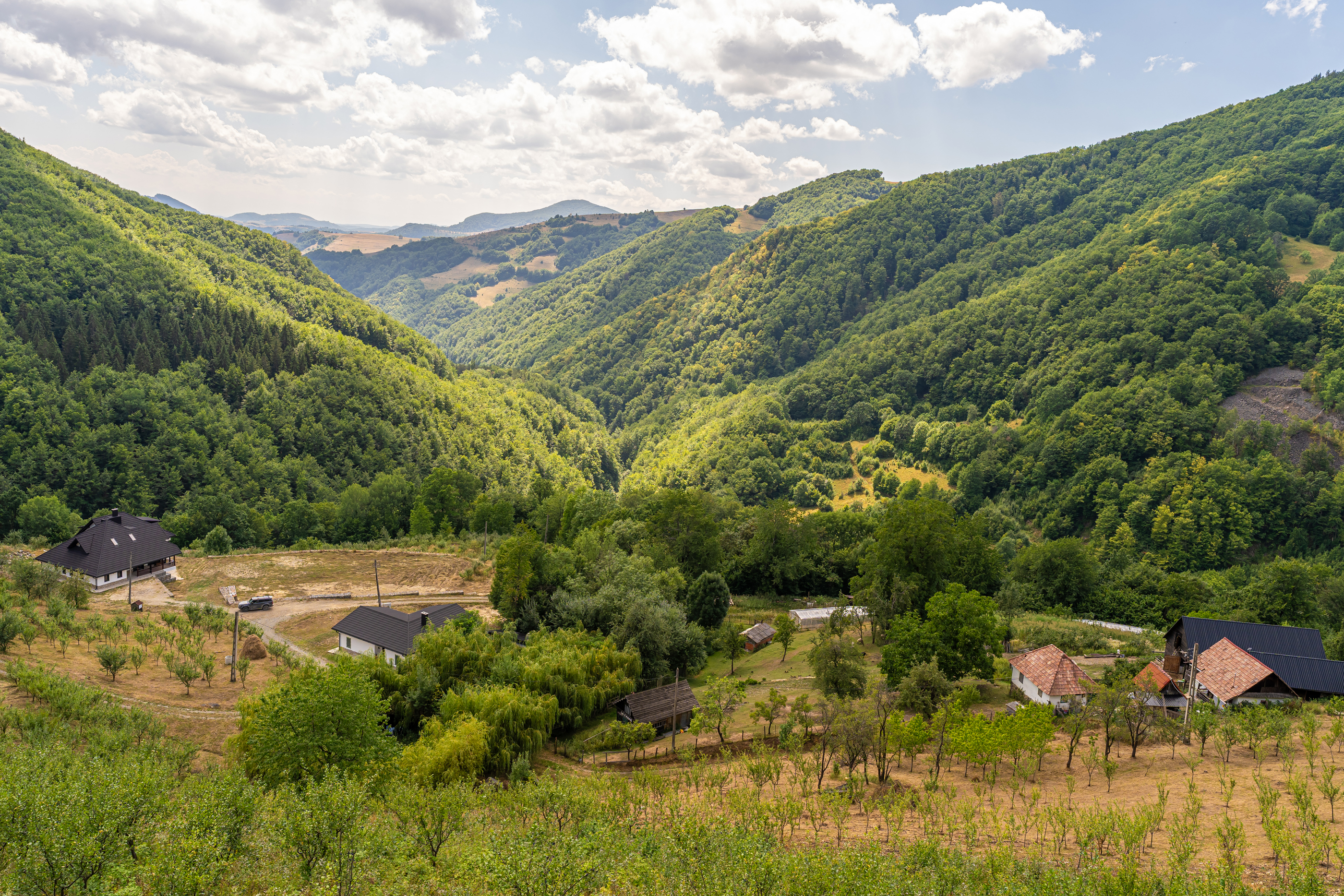  Versatile 22-Hectare Private Estate - Forested Heart of the Apuseni Mountains - 物件實景