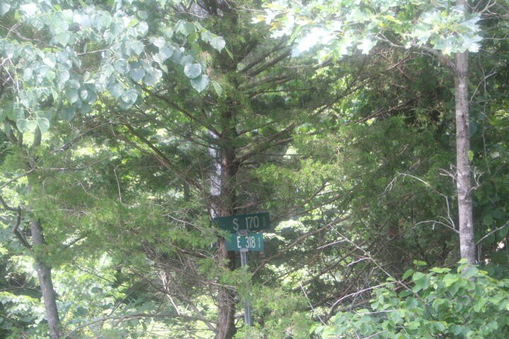 Polk, Missouri, 65727, United States, ,Land,For Sale,1980569