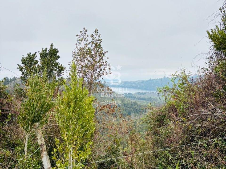 Futrono, Chile, ,Residential,For Sale,1934397