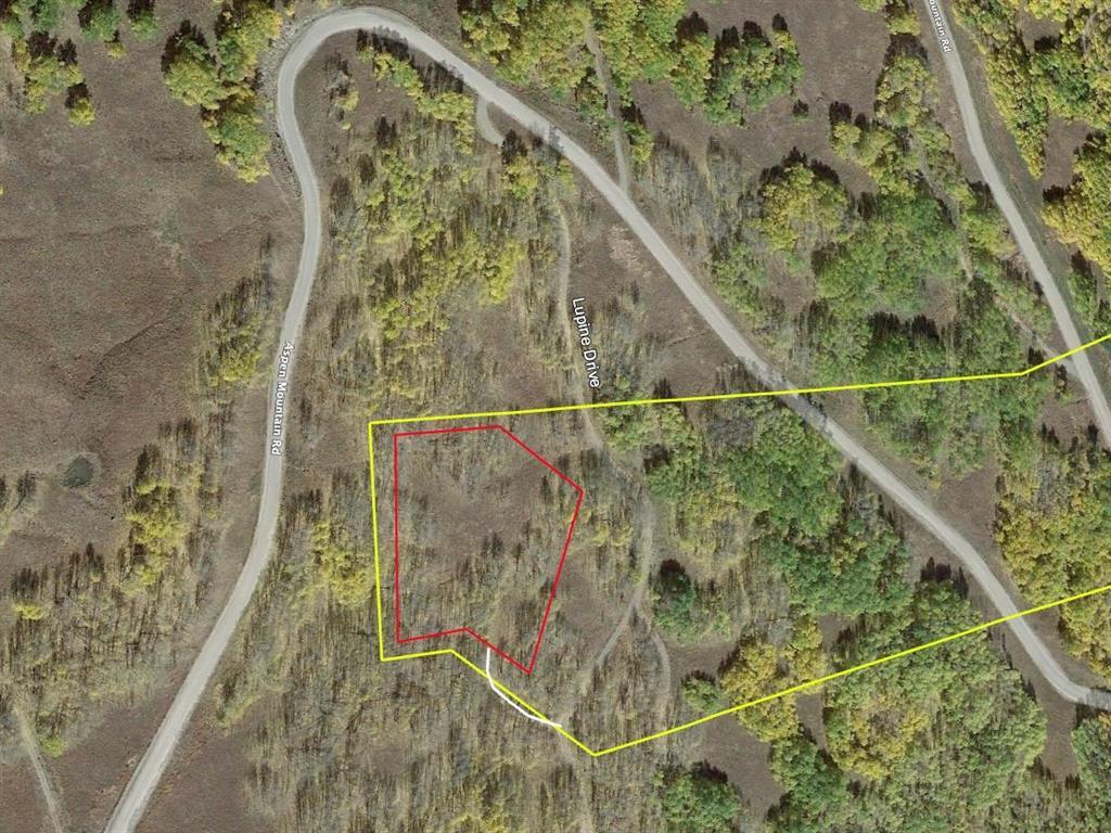 235 Lupine Dr., Crested Butte, Colorado, 81224, United States, ,Land,For Sale,235 Lupine Dr.,1431090