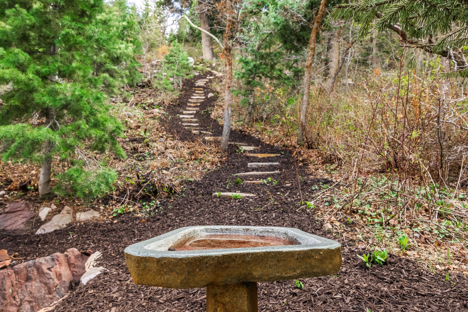  Nature-Inspired Living in the Heart of Park City