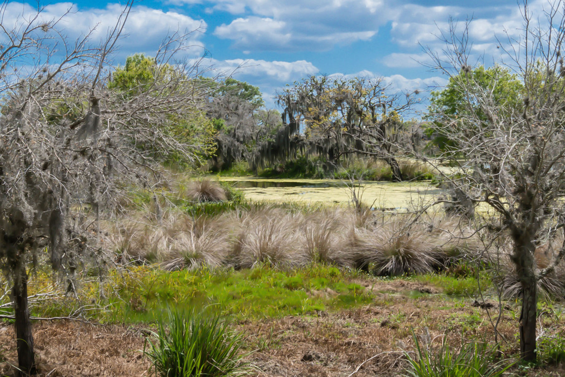 CENTRAL PARK SUBPHASE B-2A & B-2C - 物件實景
