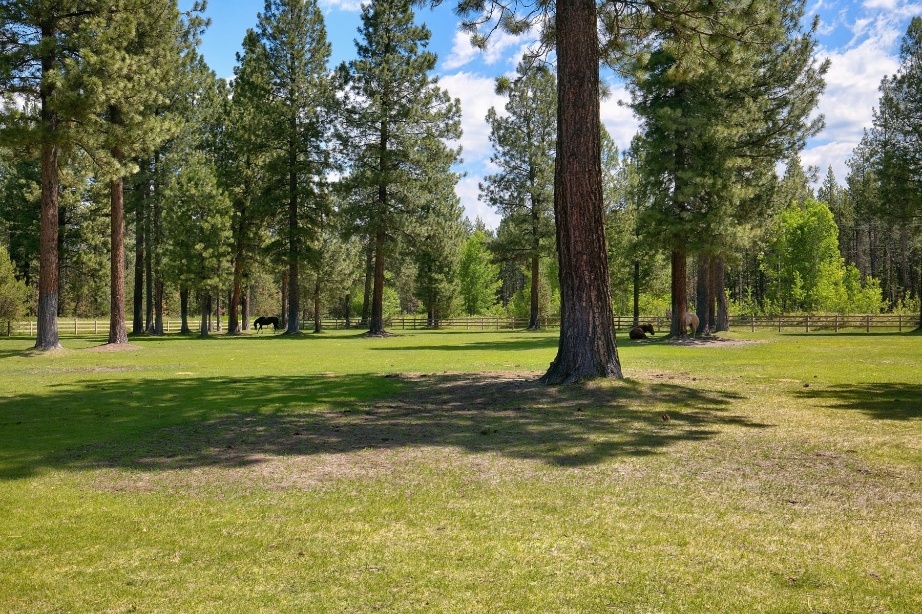  55383 Huntington Road Bend, OR 97707 - 物件實景