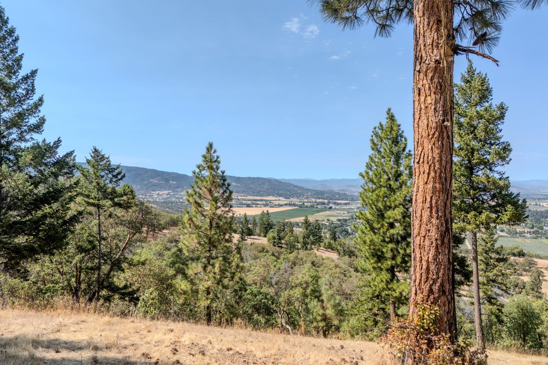  3579 S Stage Road #Lot 9 Medford, OR 97501 - 物件實景