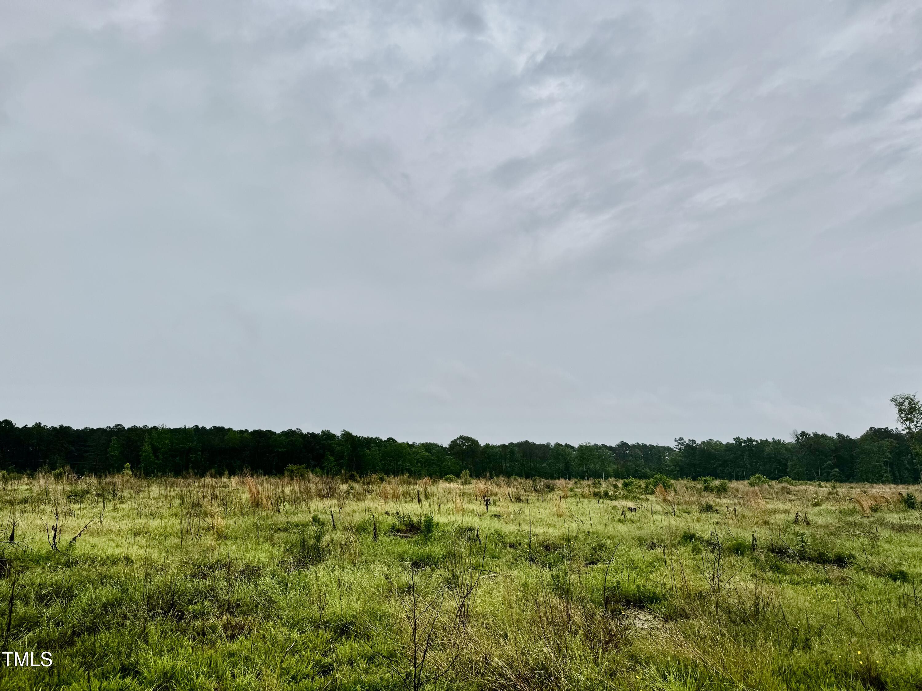 Murfreesboro, North Carolina, 27855, United States, ,Land,For Sale,1796477